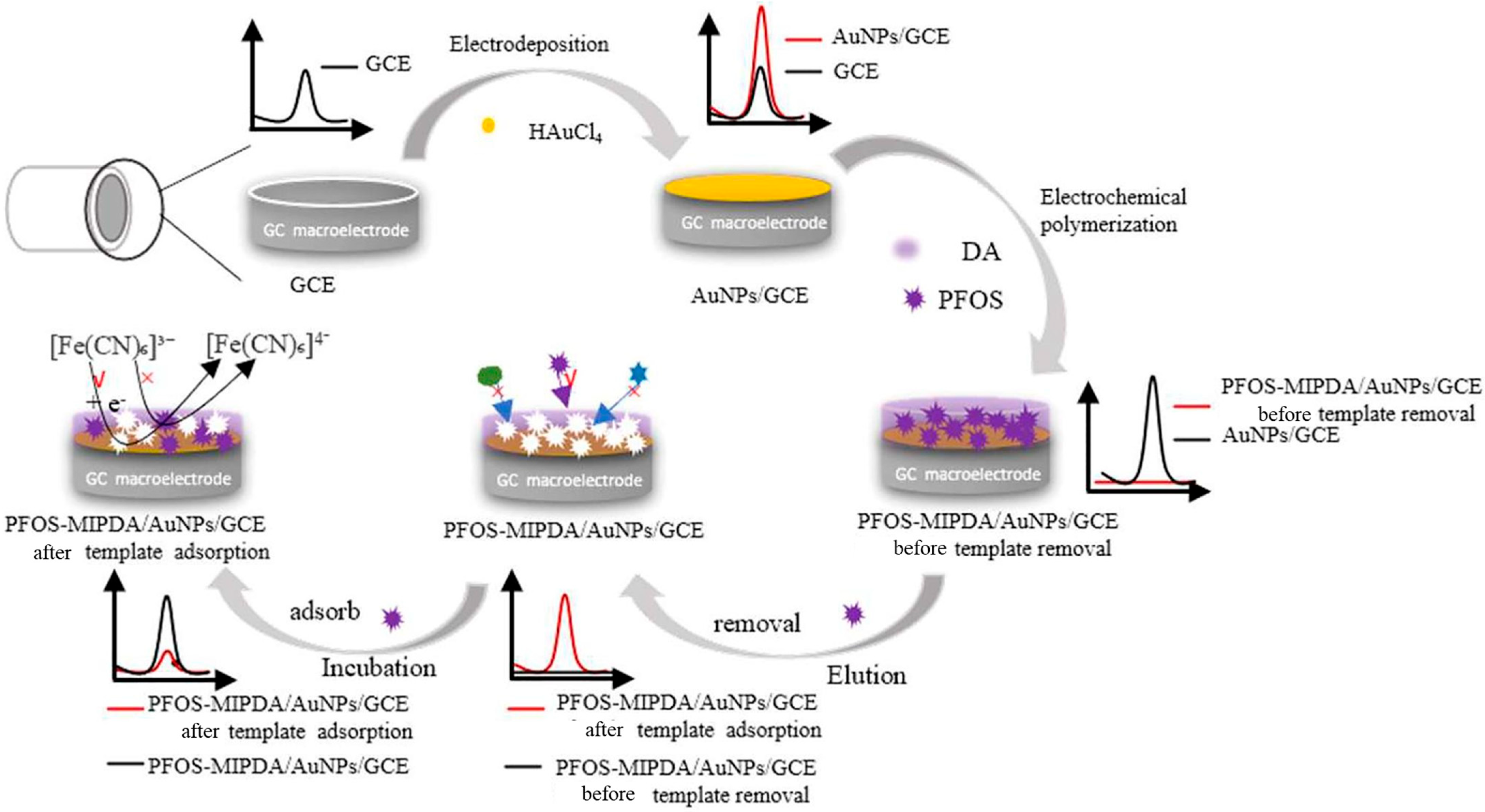Biosensors 15 00631 g005 Biosensors 15 00631 g005