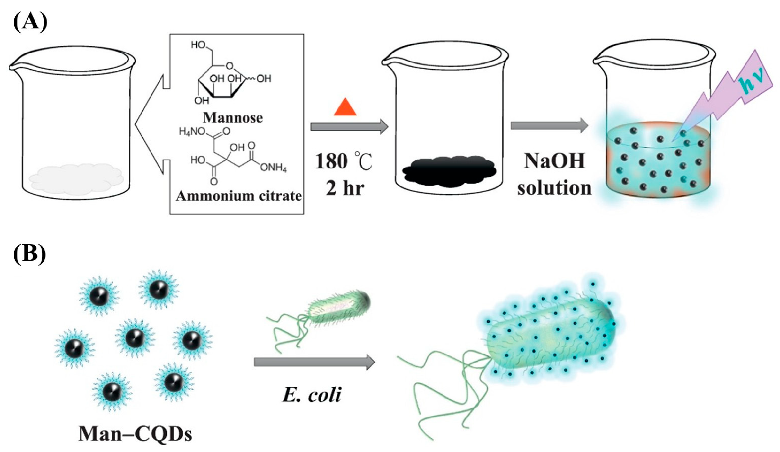 Biosensors 15 00635 g004 Biosensors 15 00635 g004