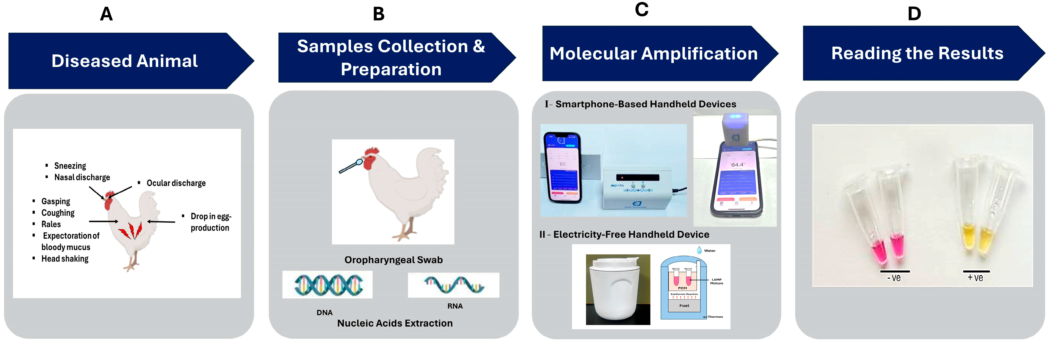 Biosensors 15 00638 g001 Biosensors 15 00638 g001