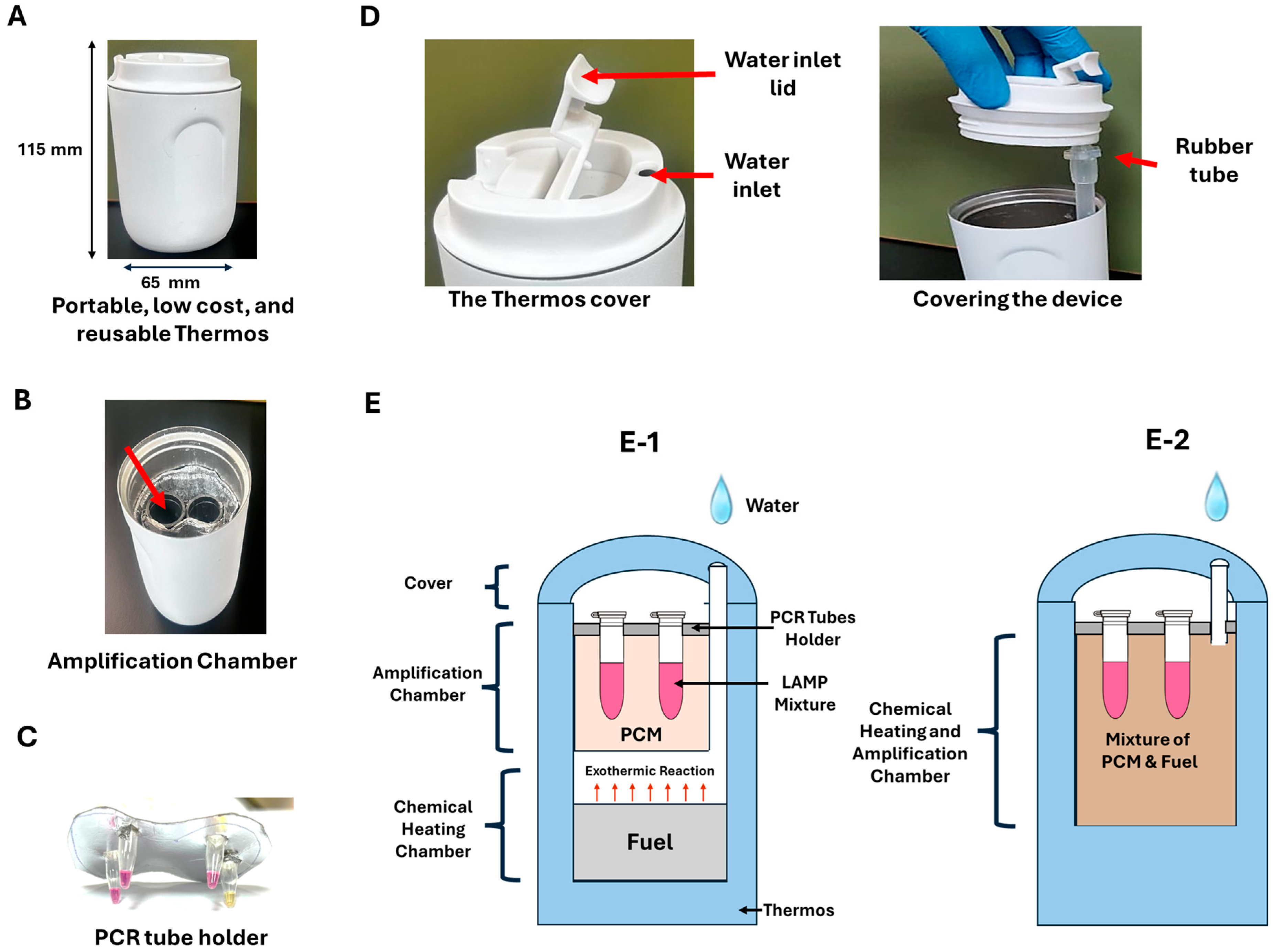 Biosensors 15 00638 g002 Biosensors 15 00638 g002