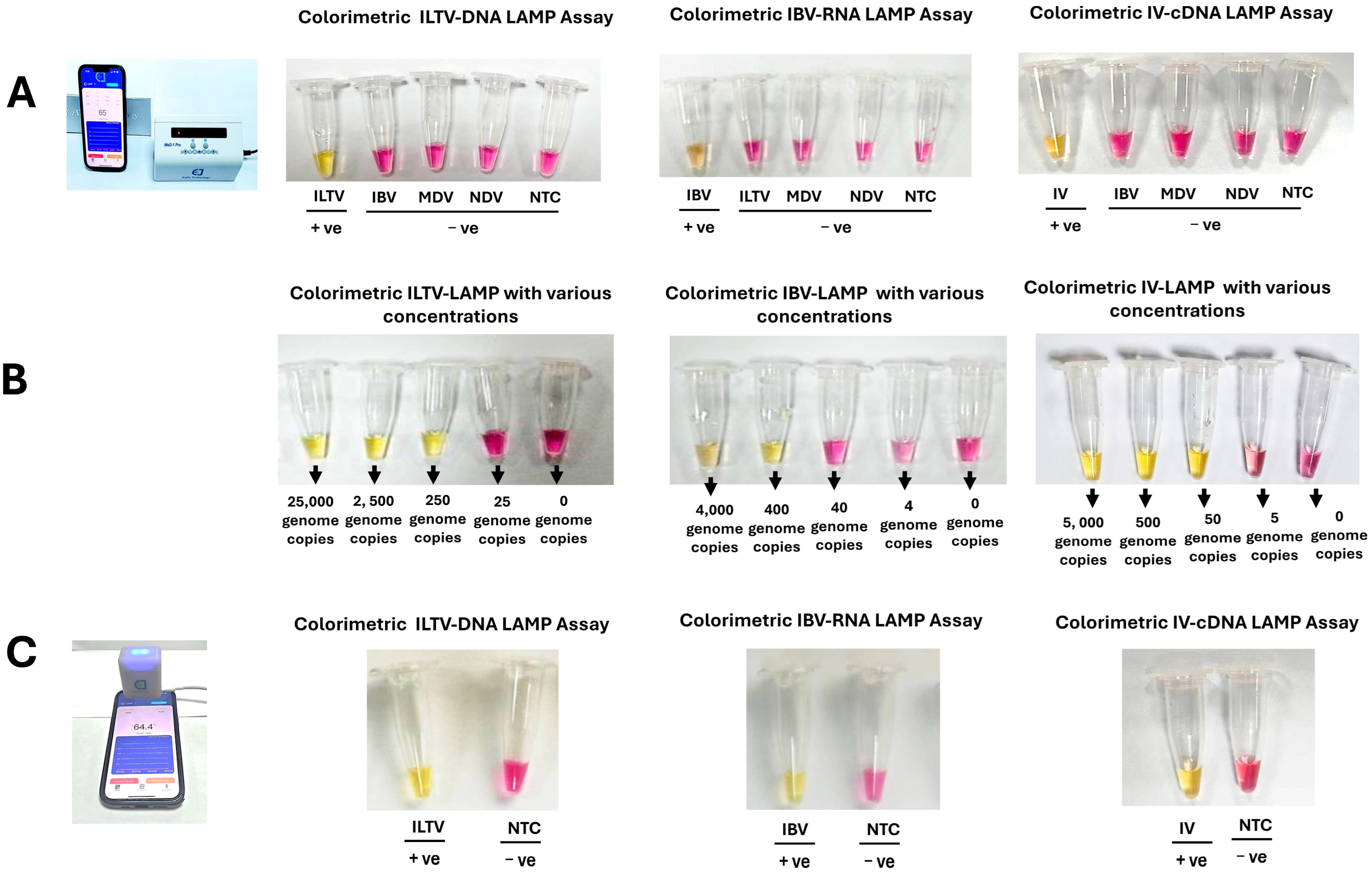 Biosensors 15 00638 g003 Biosensors 15 00638 g003