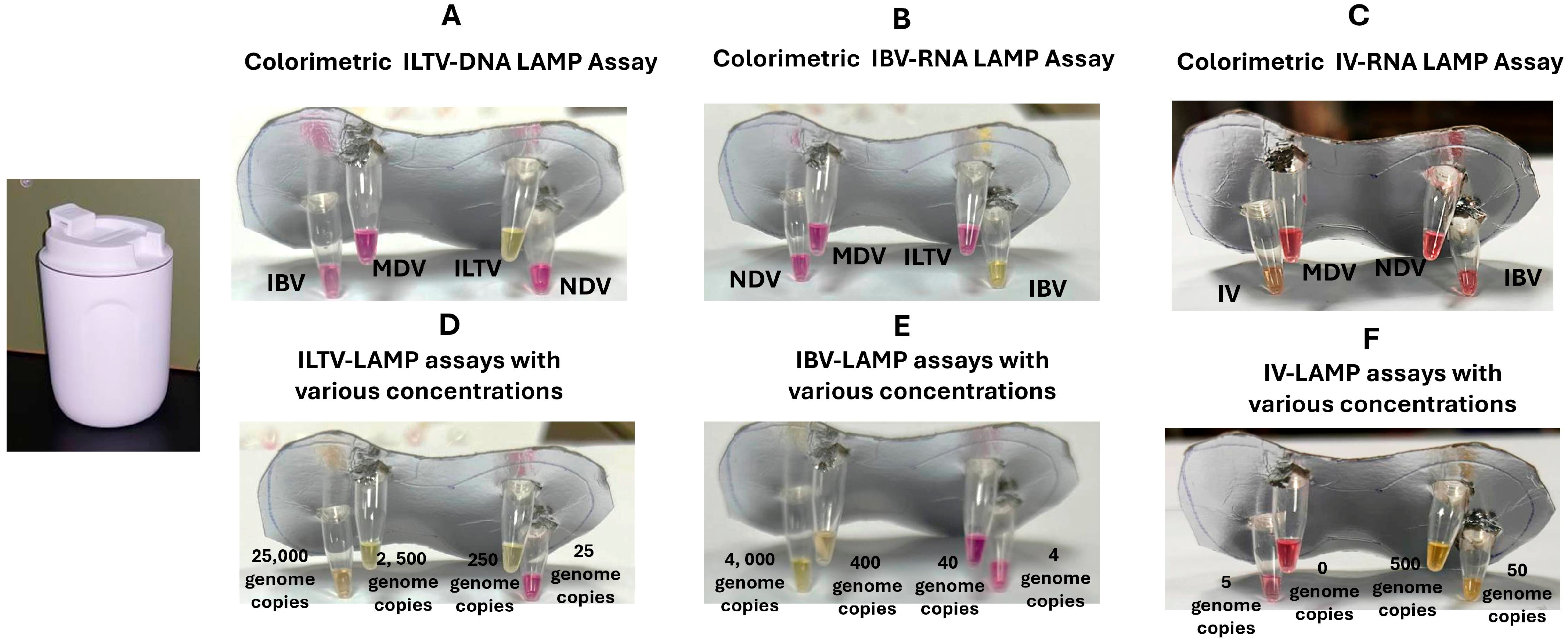 Biosensors 15 00638 g004 Biosensors 15 00638 g004