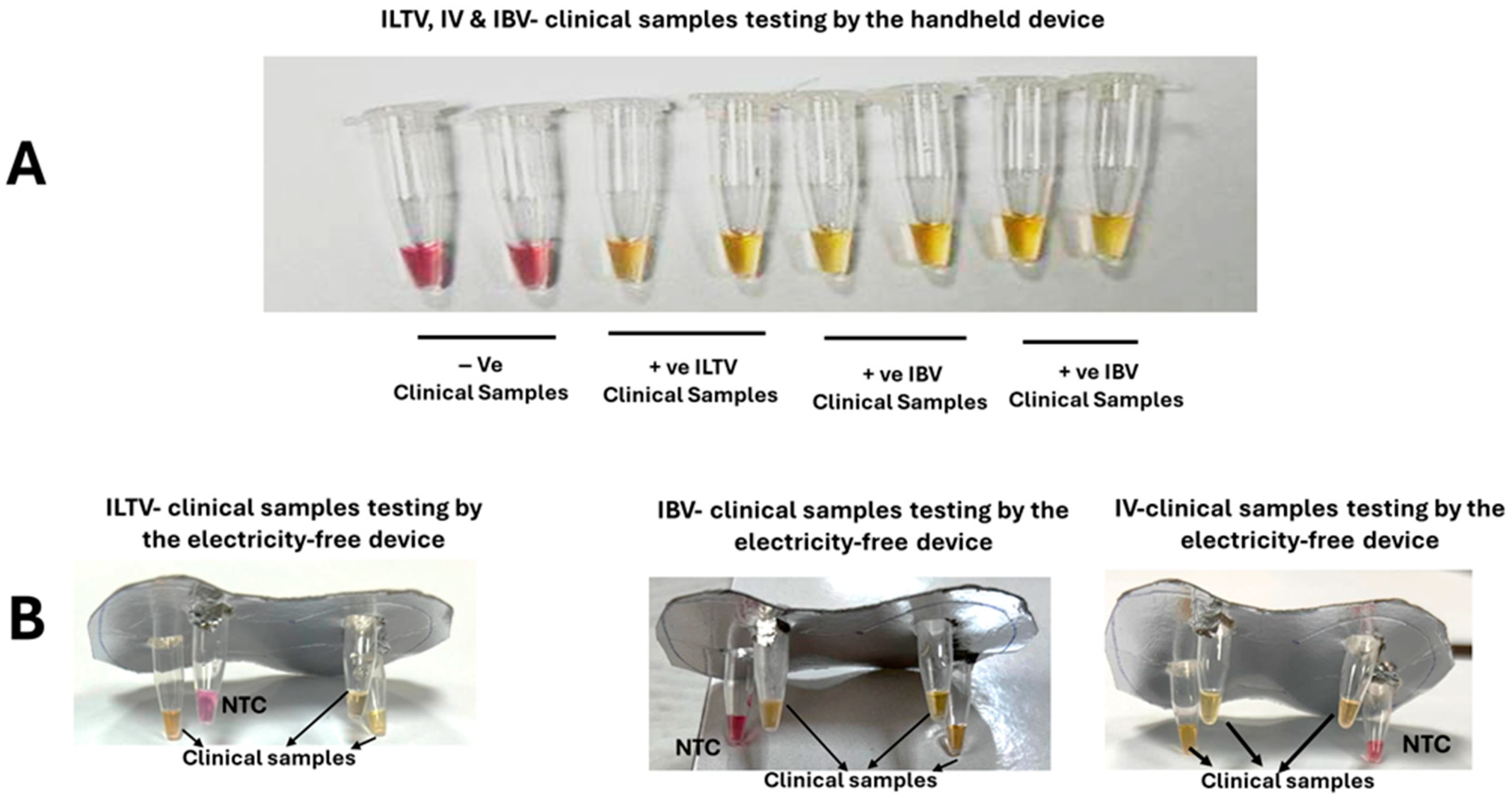 Biosensors 15 00638 g005 Biosensors 15 00638 g005
