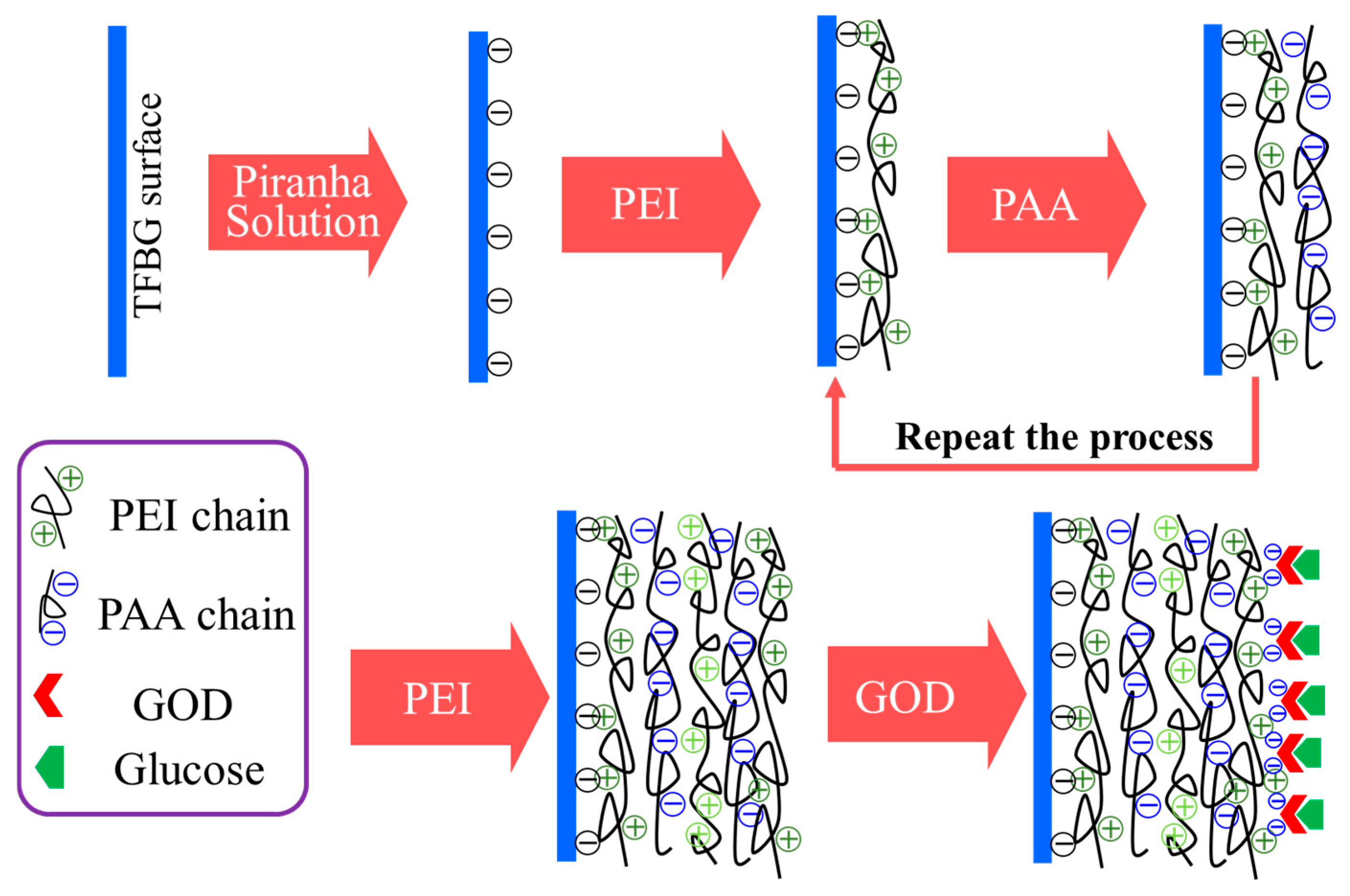 Biosensors 15 00642 g002