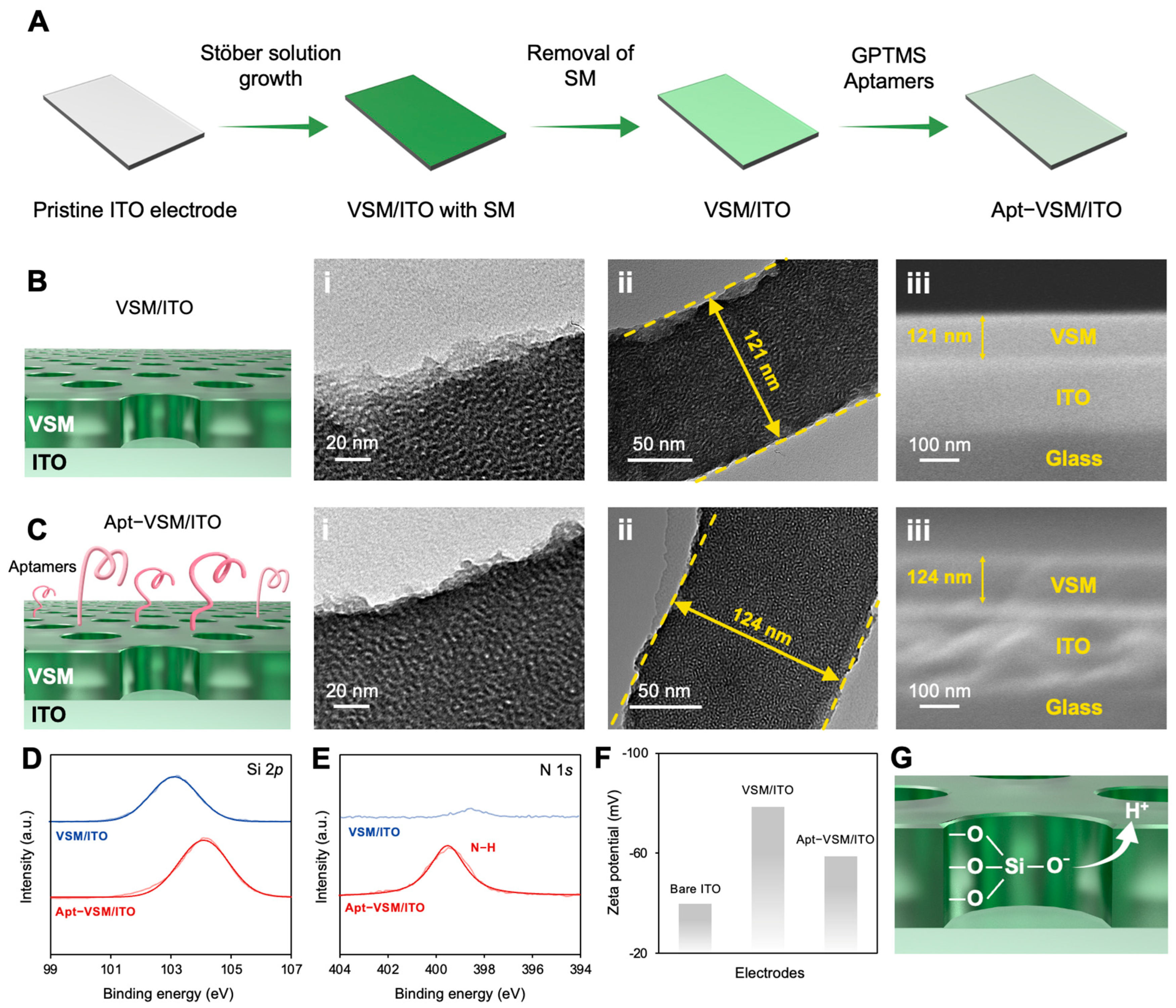 Biosensors 15 00645 g003