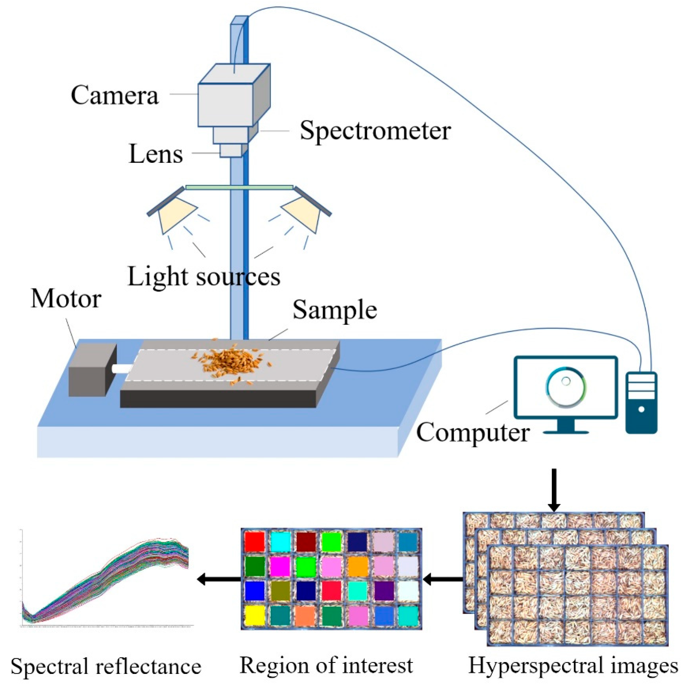 Biosensors 15 00647 g001