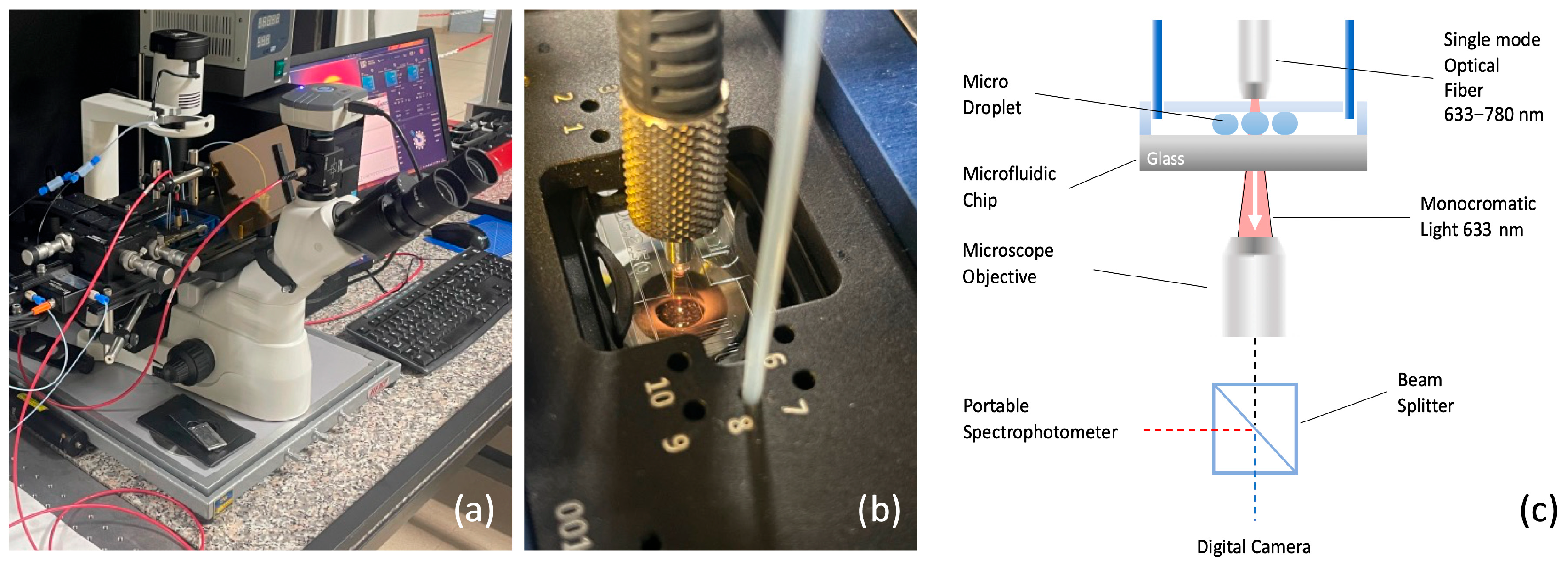 Biosensors 15 00649 g002