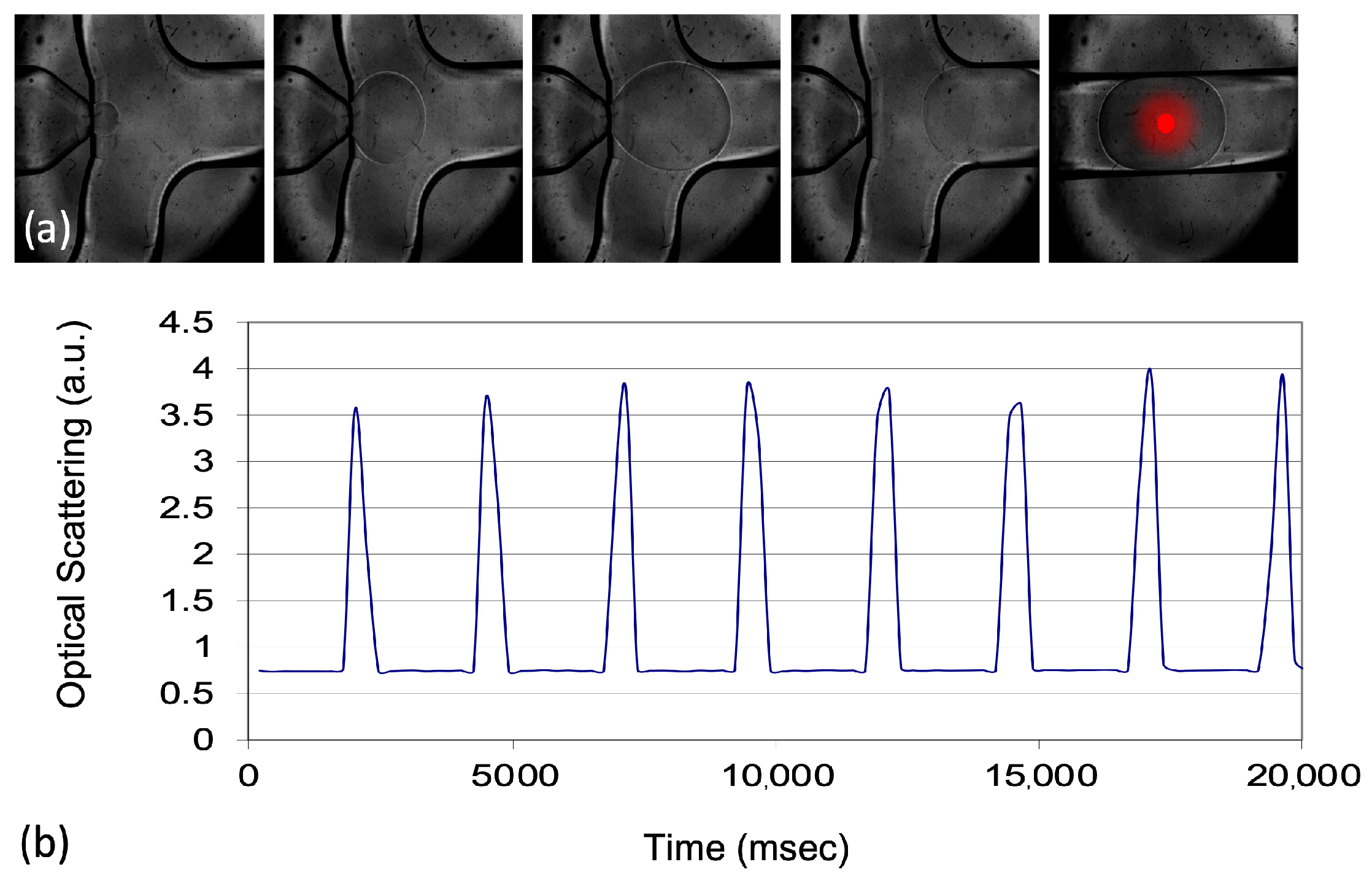 Biosensors 15 00649 g003