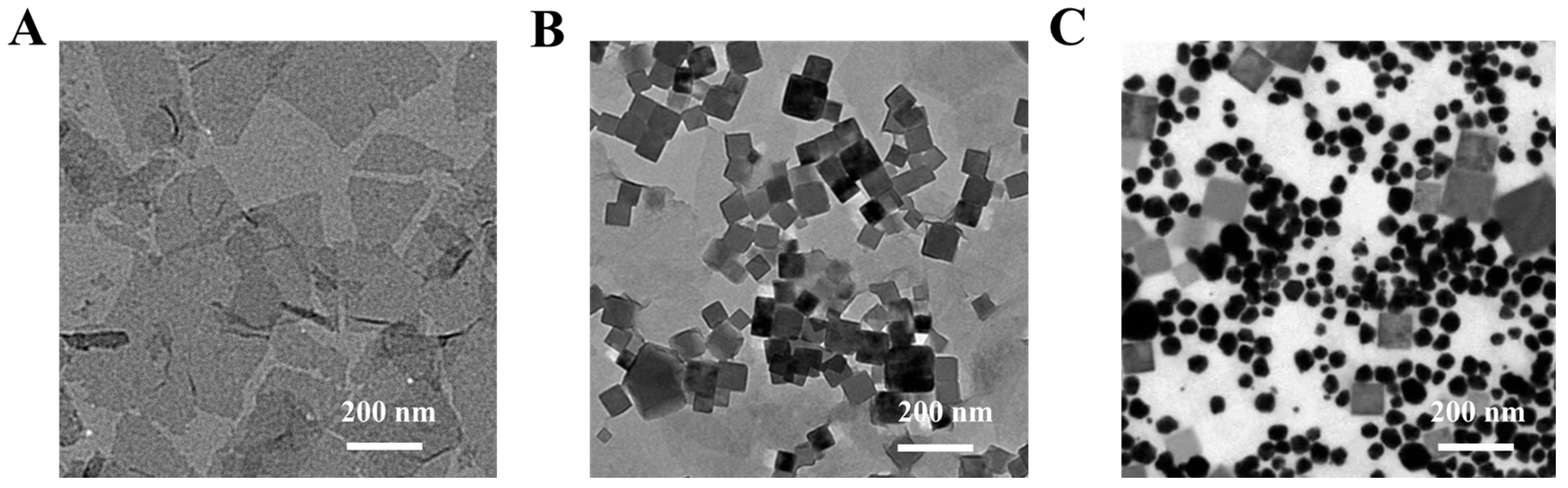 Biosensors 15 00651 g001