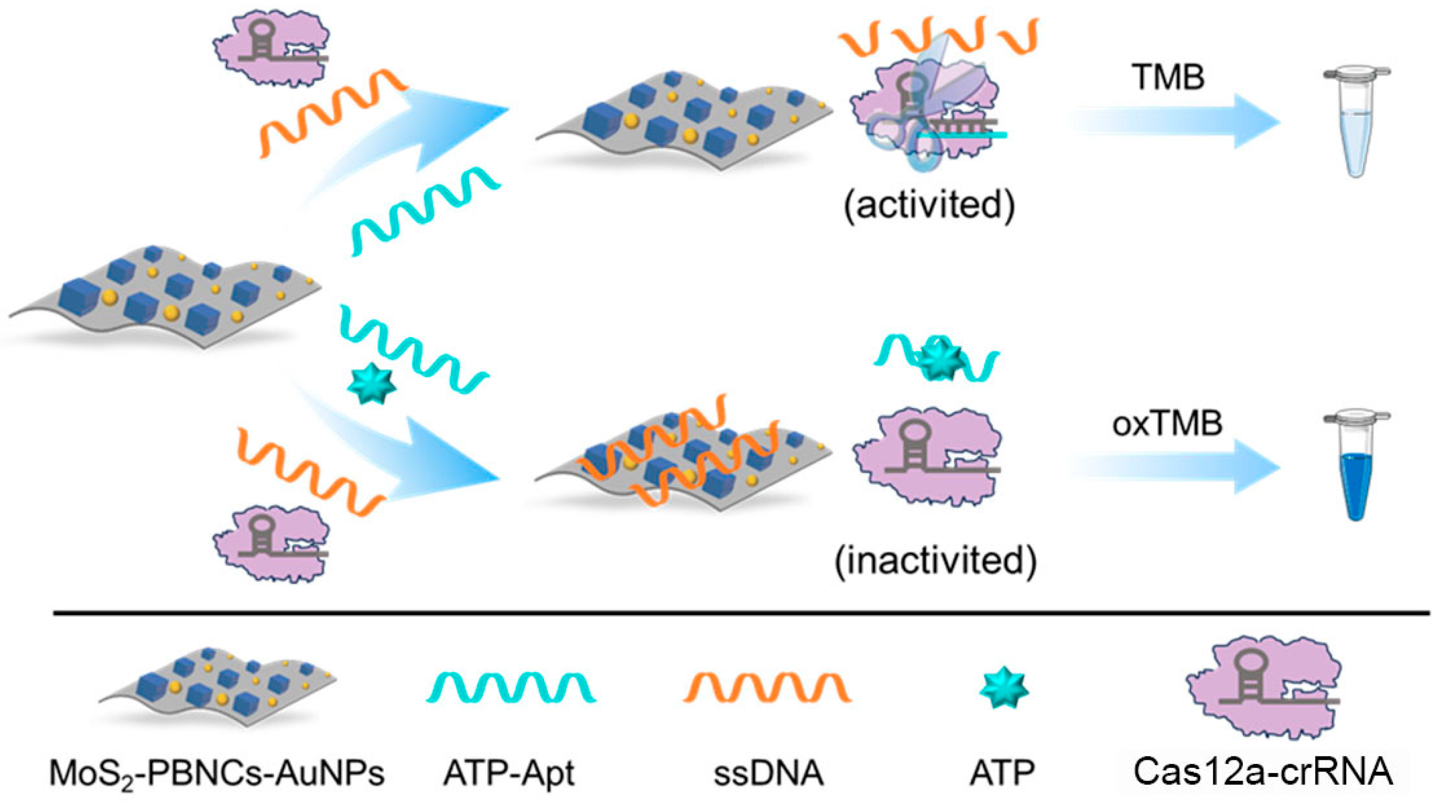 Biosensors 15 00651 sch001