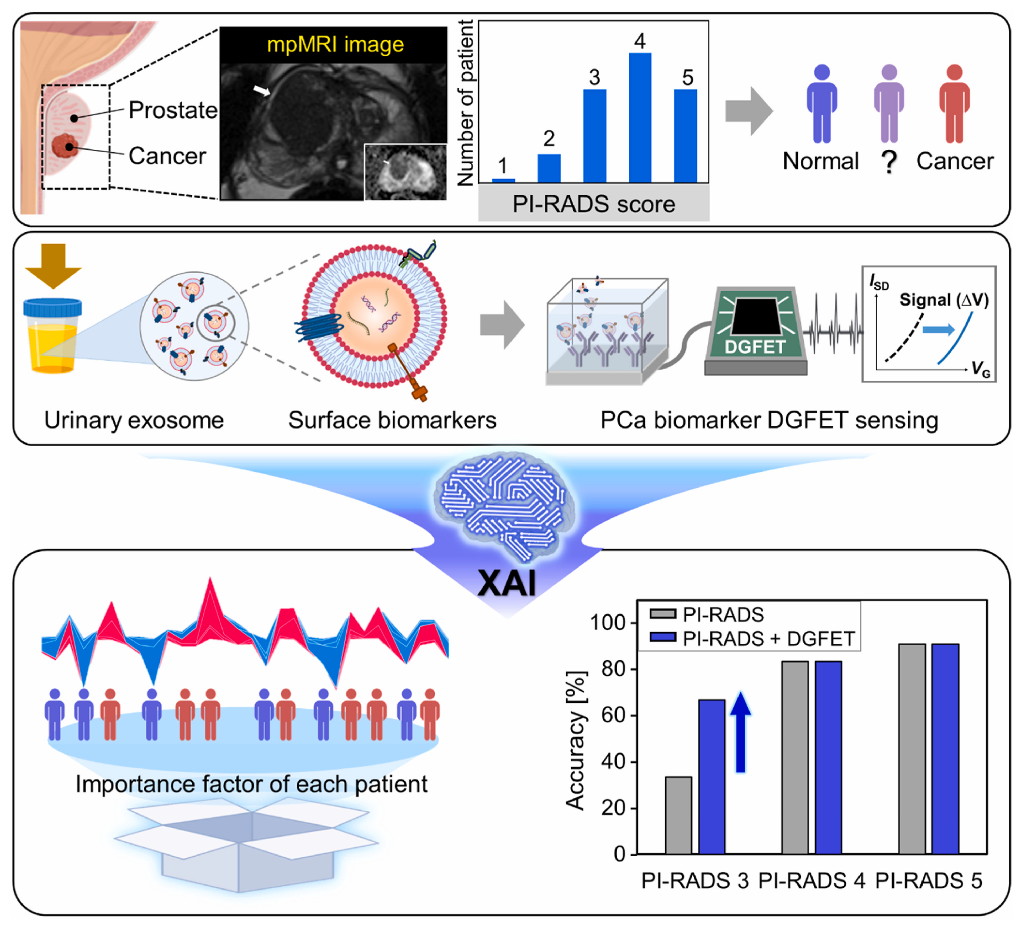 Biosensors 15 00656 g003