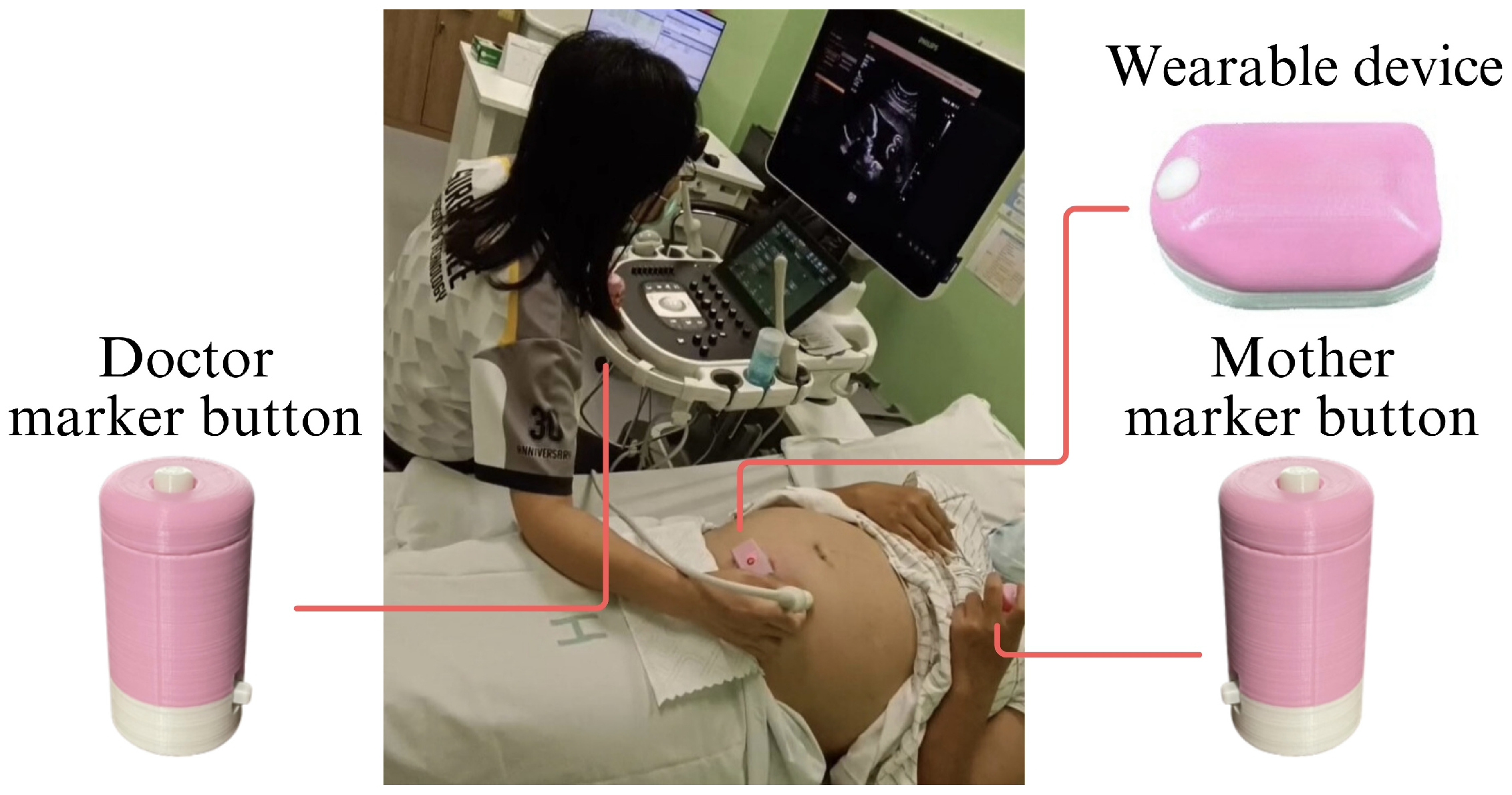 Biosensors 15 00662 g003