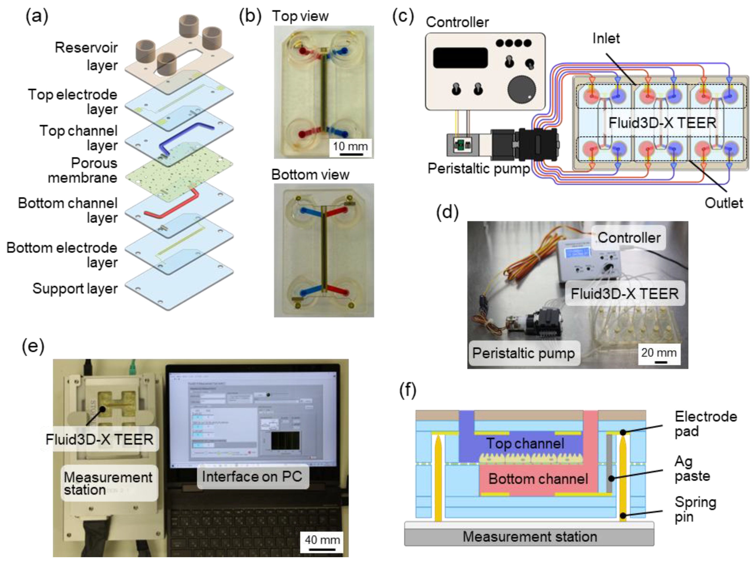 Biosensors 15 00663 g001