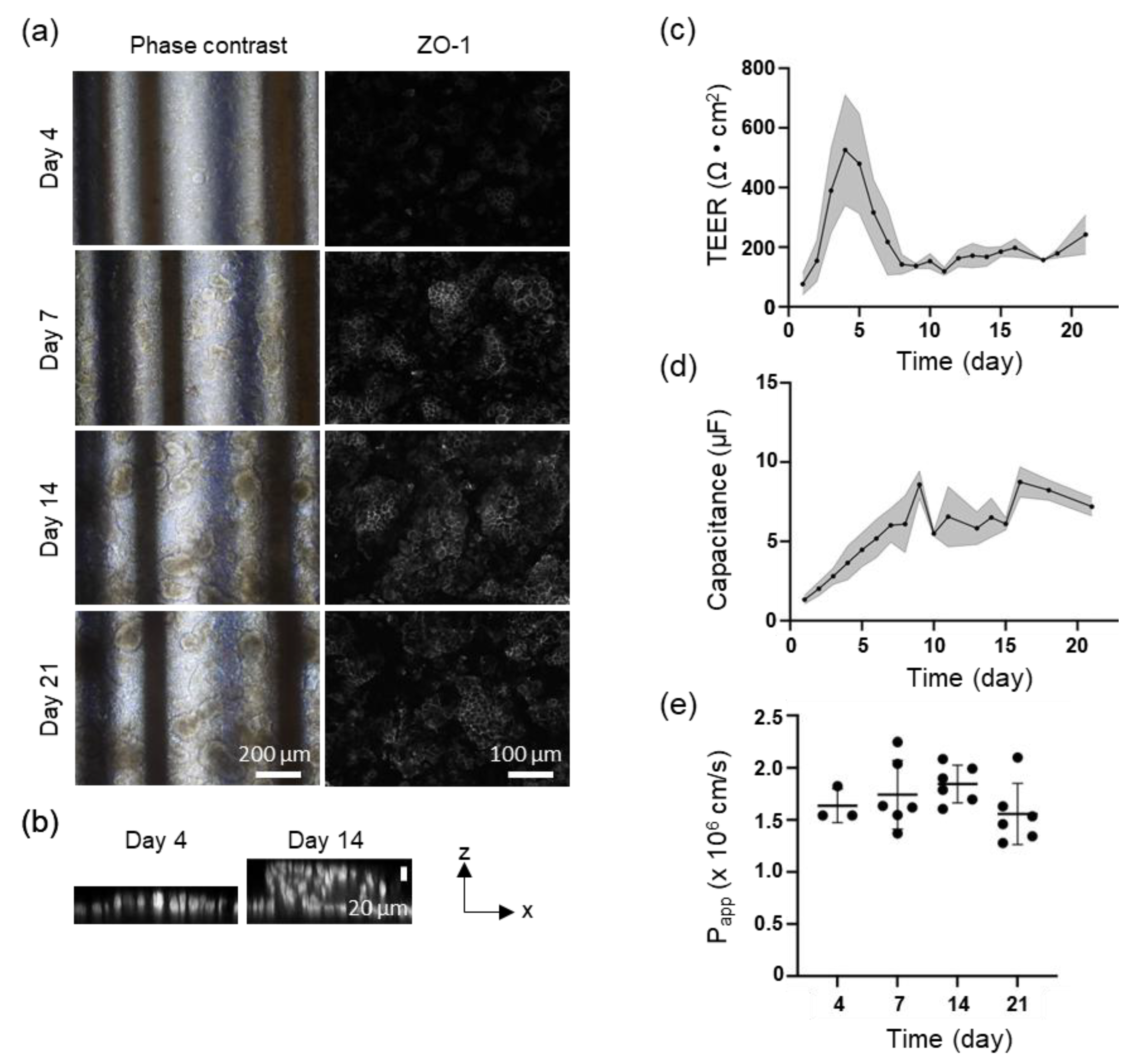Biosensors 15 00663 g003