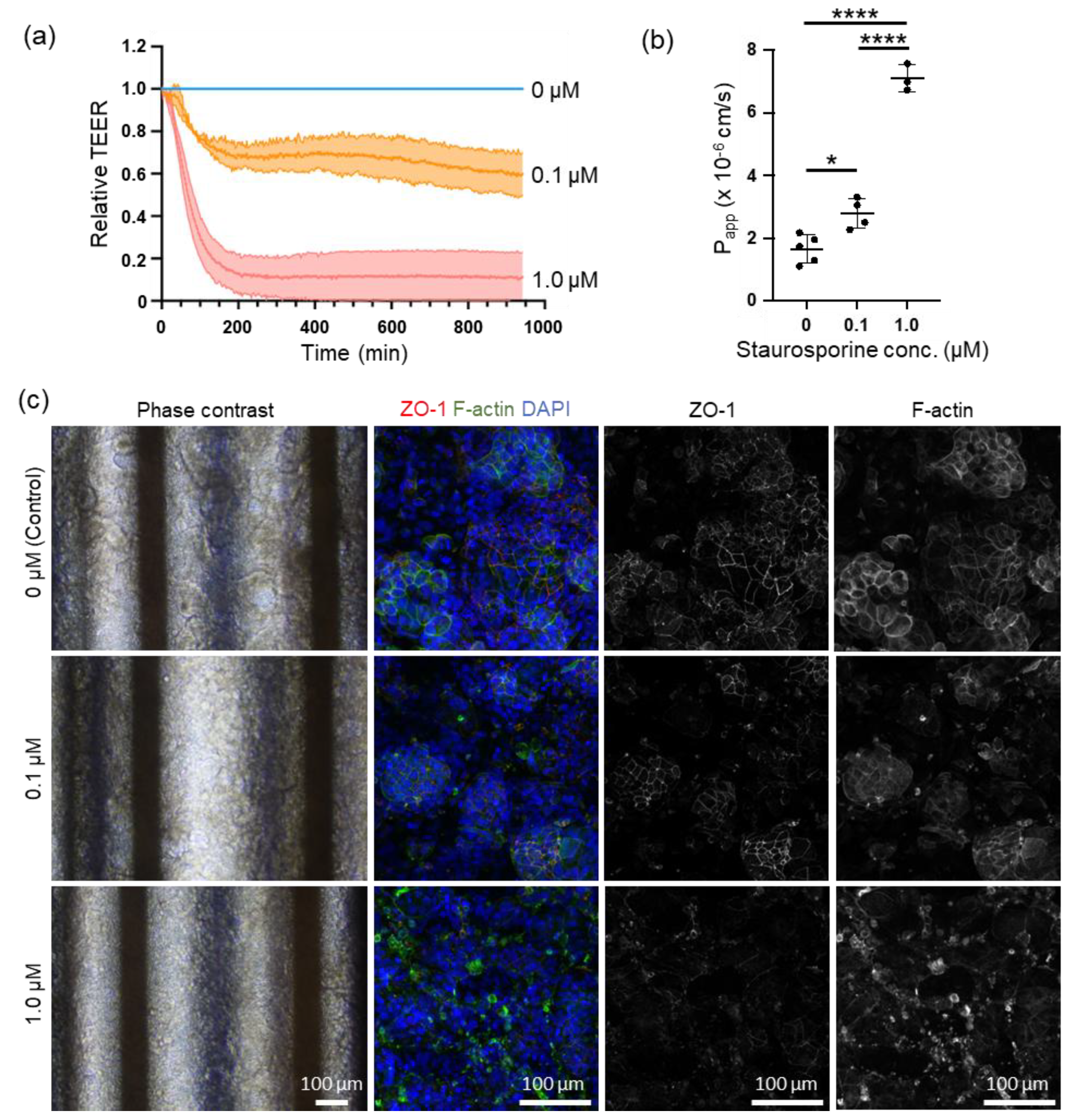Biosensors 15 00663 g004