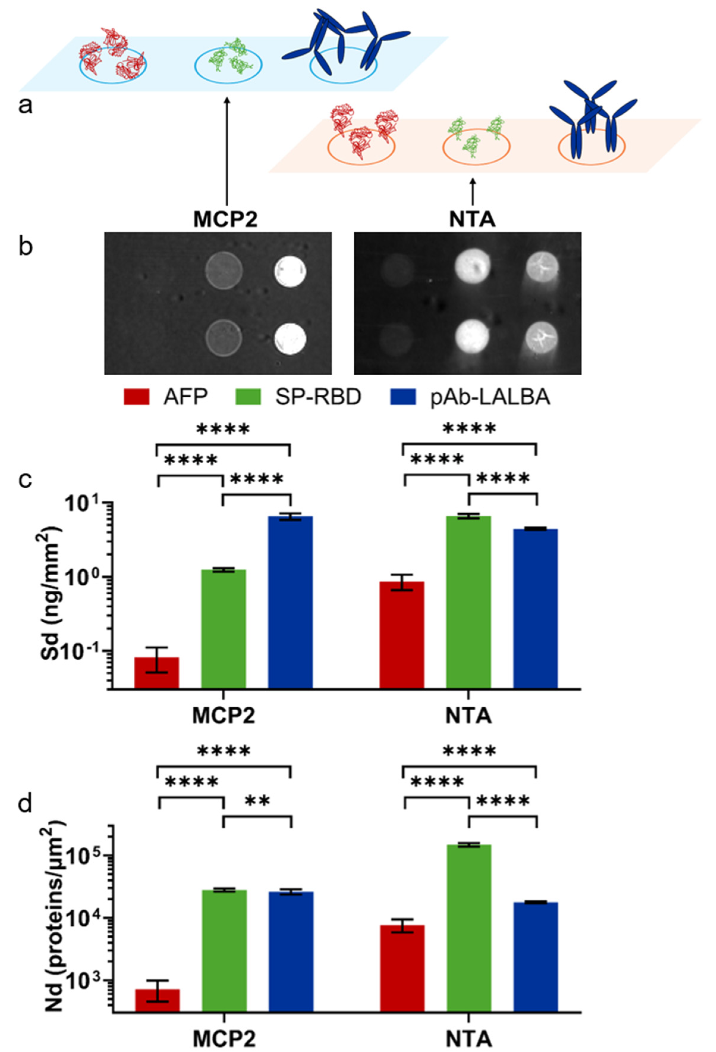 Biosensors 15 00670 g002