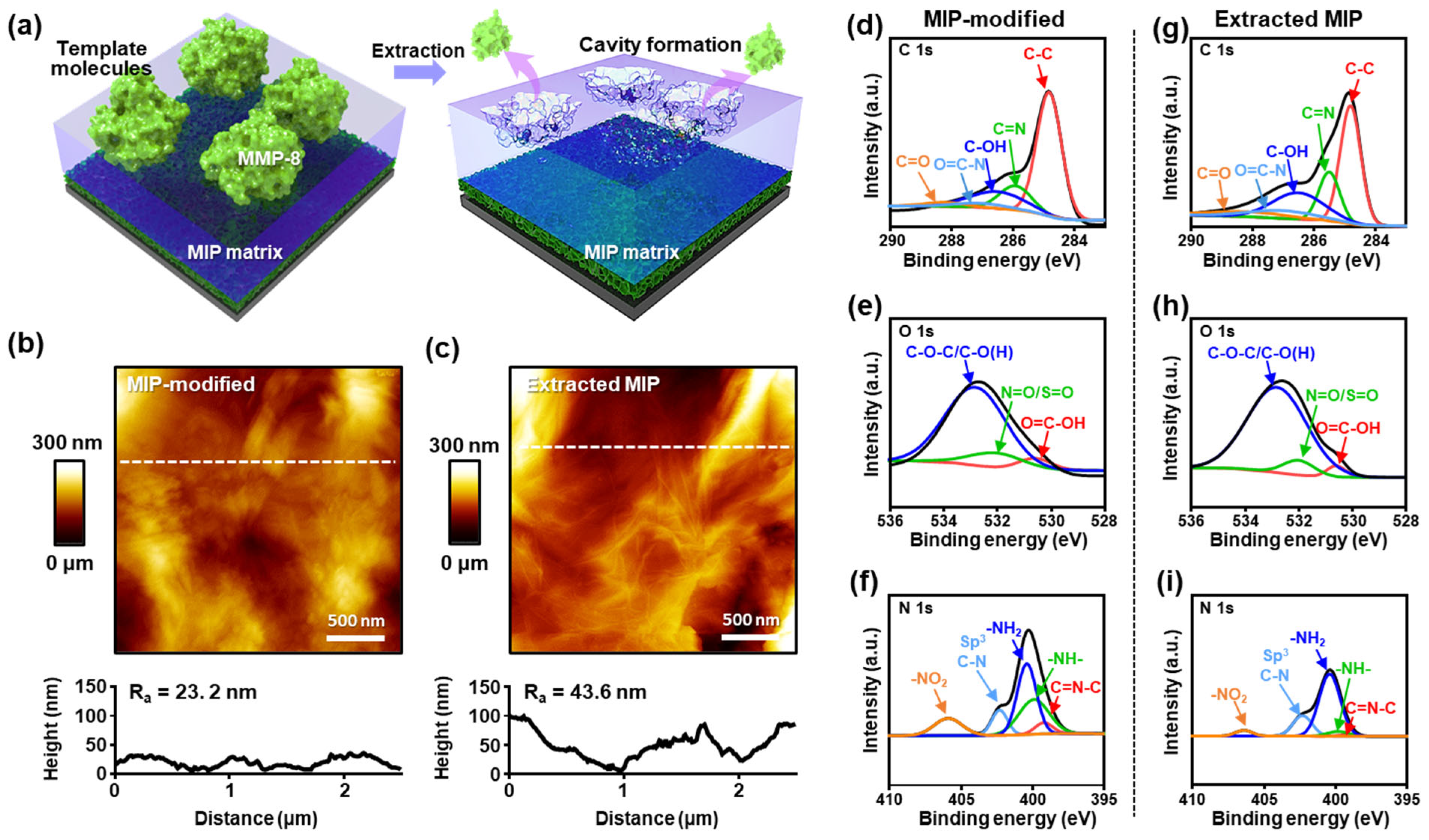 Biosensors 15 00671 g002