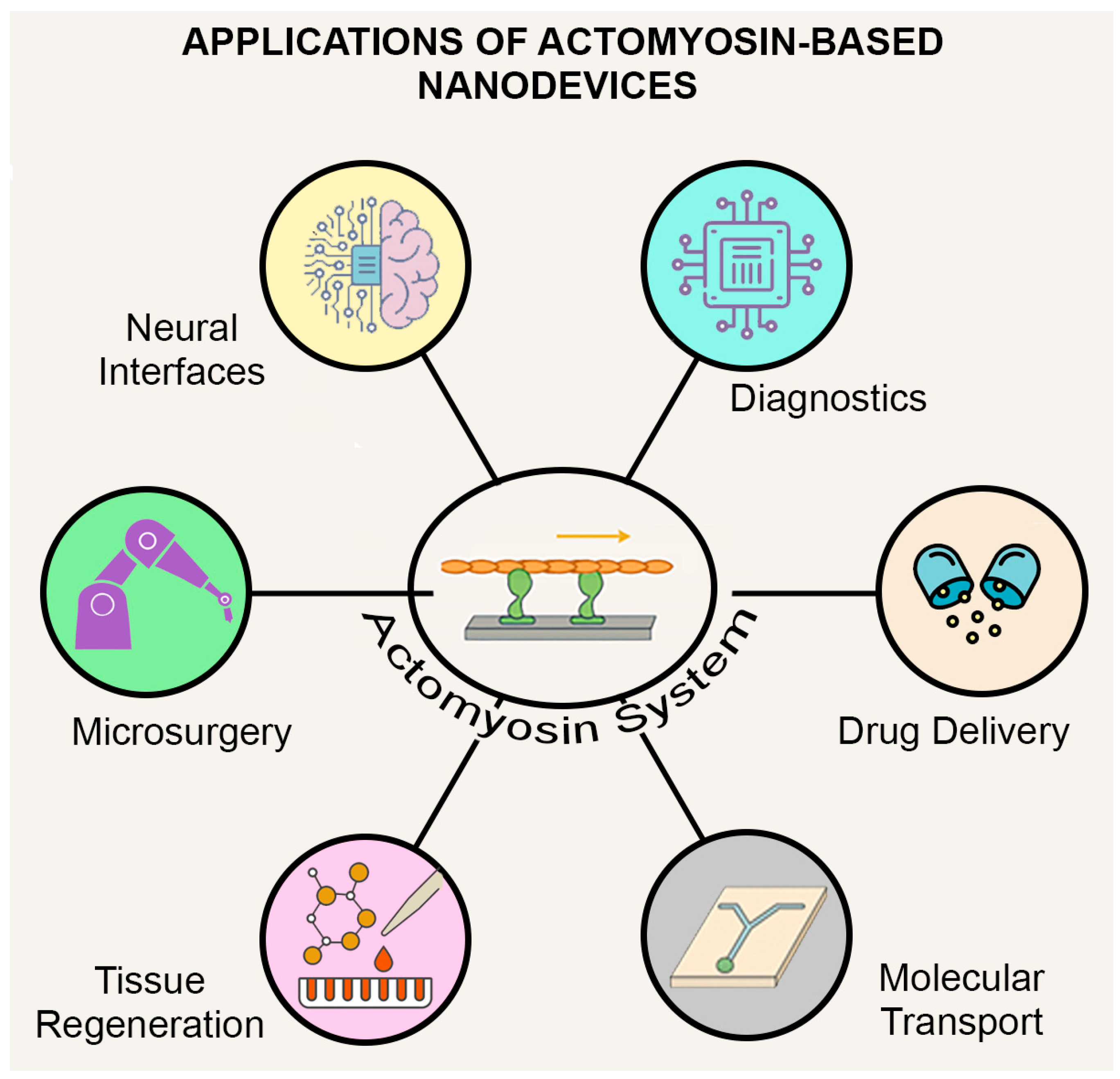 Biosensors 15 00672 g001 Biosensors 15 00672 g001