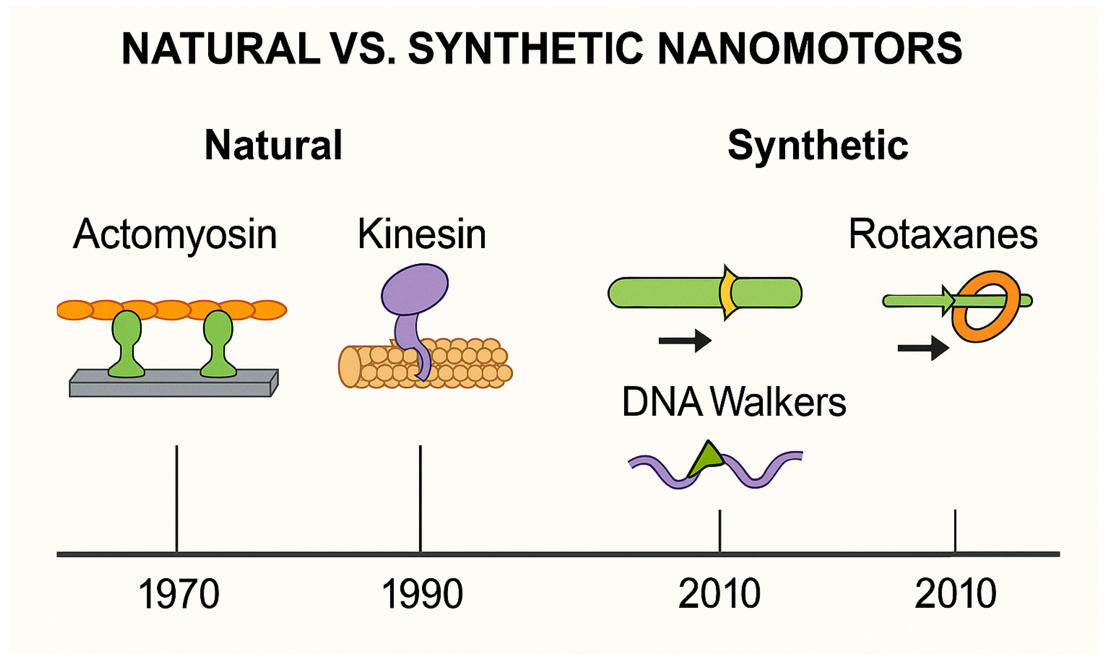 Biosensors 15 00672 g002 Biosensors 15 00672 g002