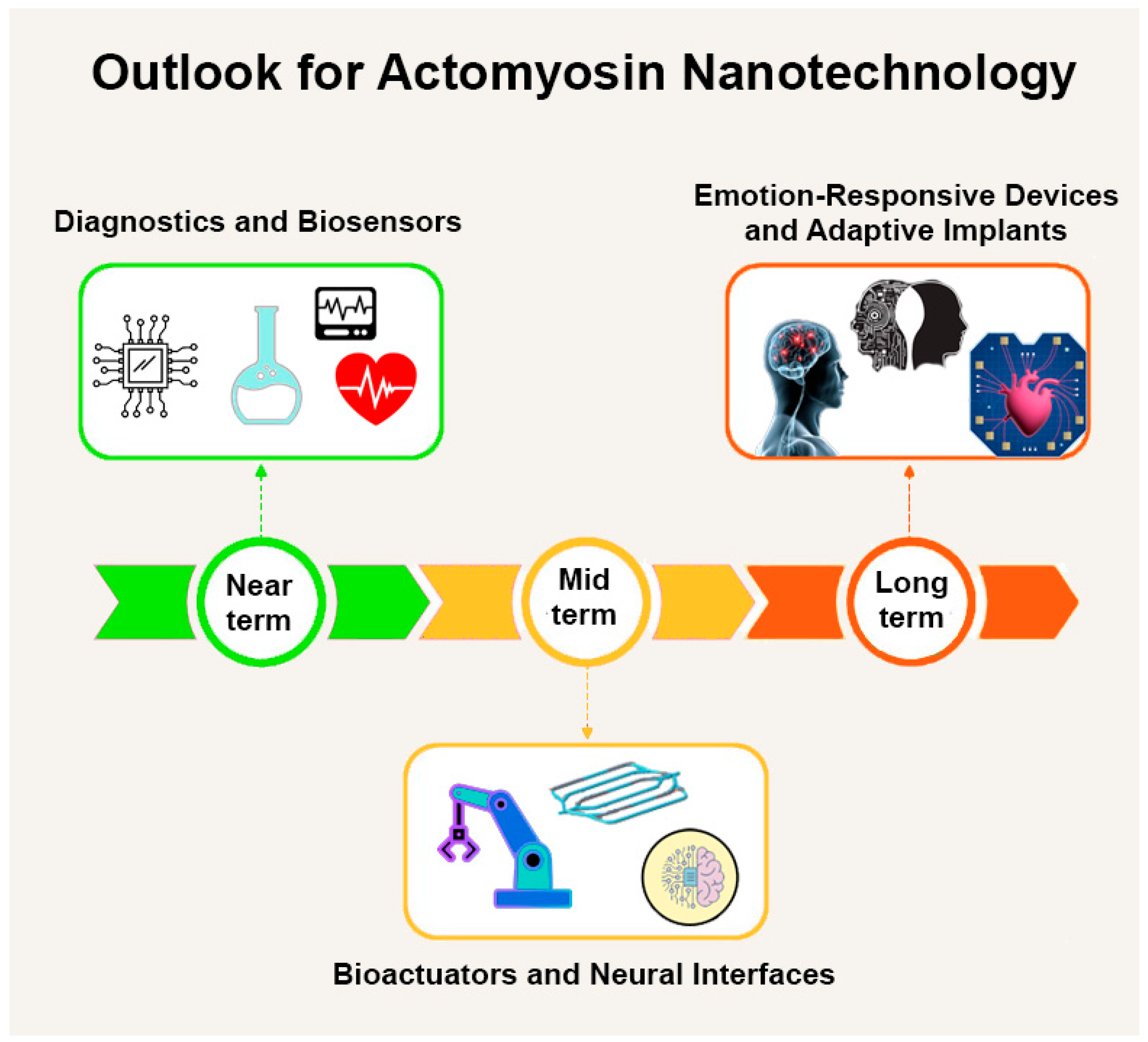 Biosensors 15 00672 g004 Biosensors 15 00672 g004