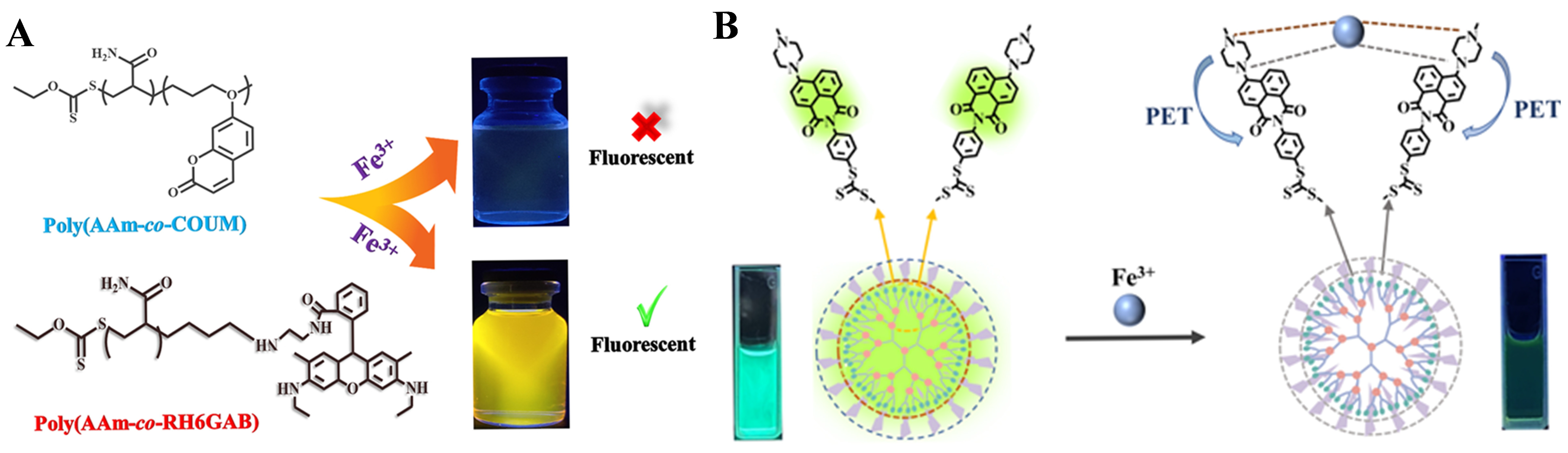 Biosensors 15 00673 g001 Biosensors 15 00673 g001