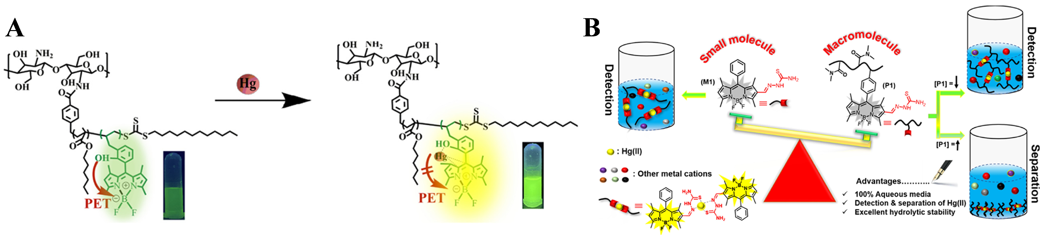Biosensors 15 00673 g003 Biosensors 15 00673 g003