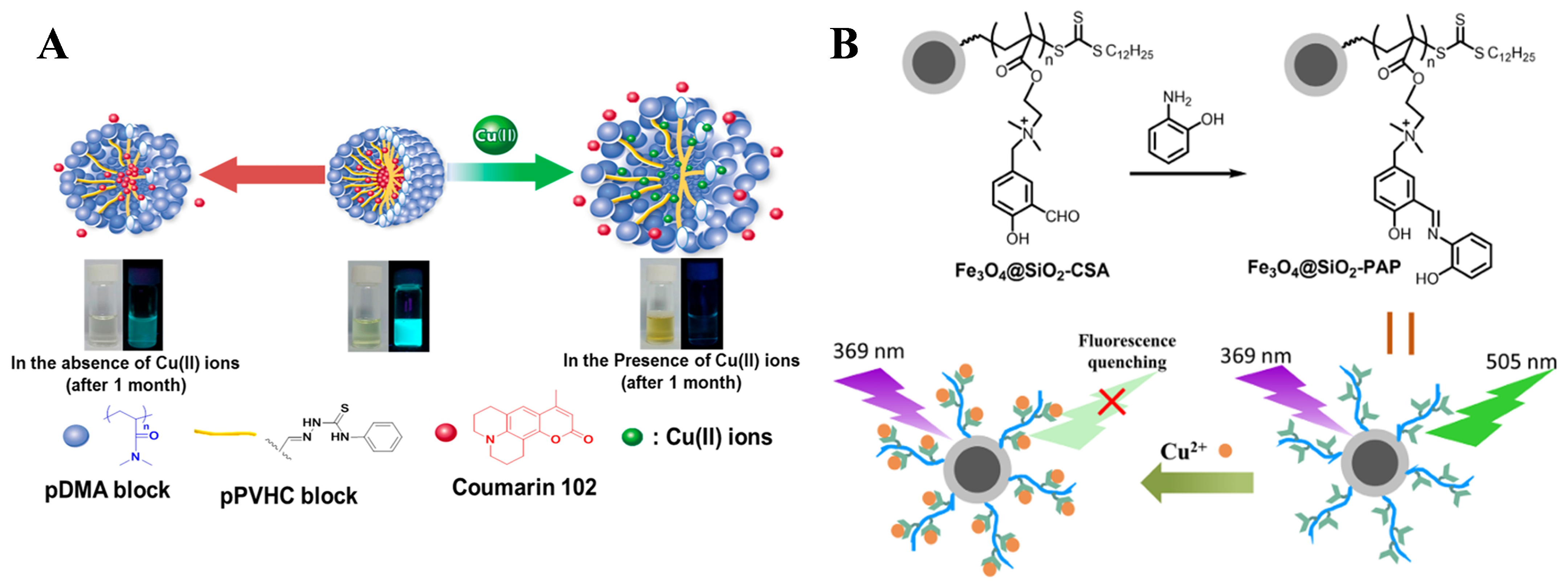 Biosensors 15 00673 g004 Biosensors 15 00673 g004