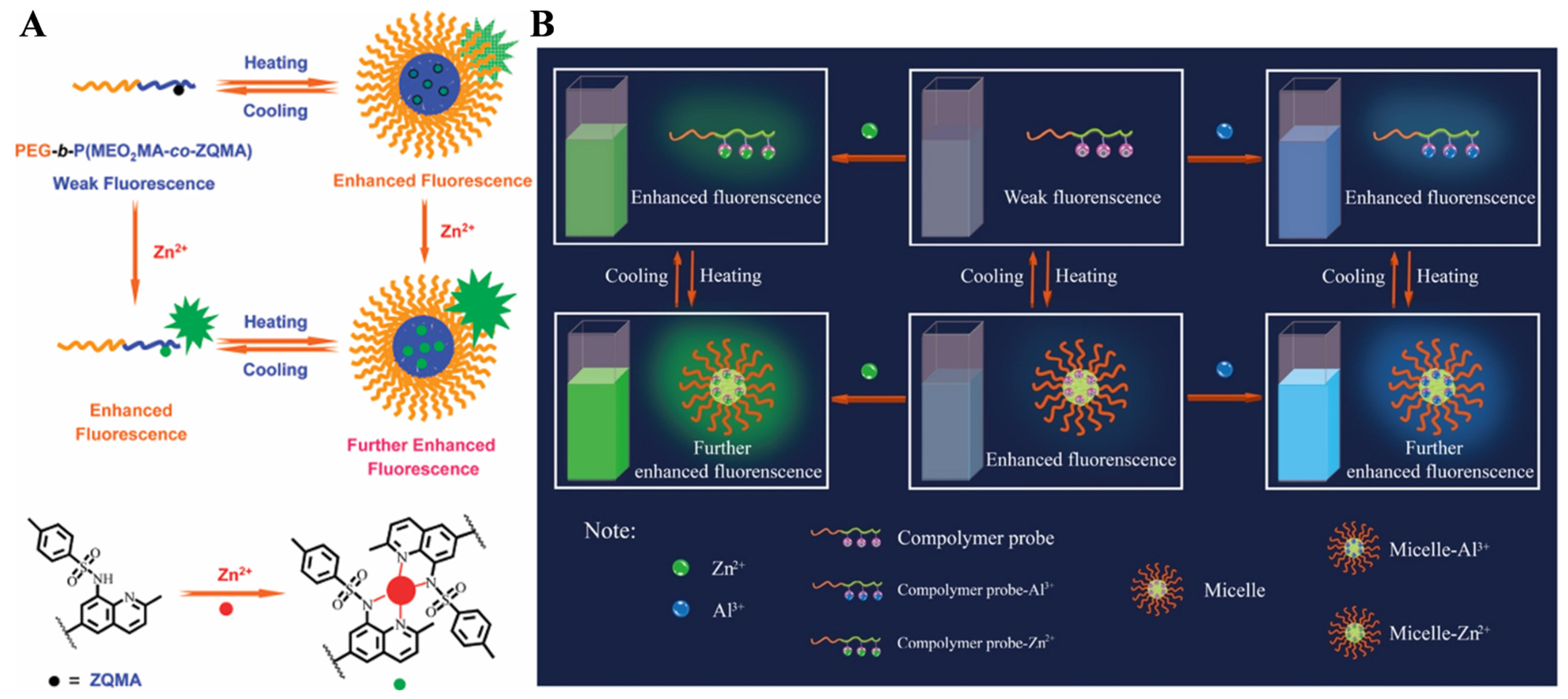 Biosensors 15 00673 g005 Biosensors 15 00673 g005