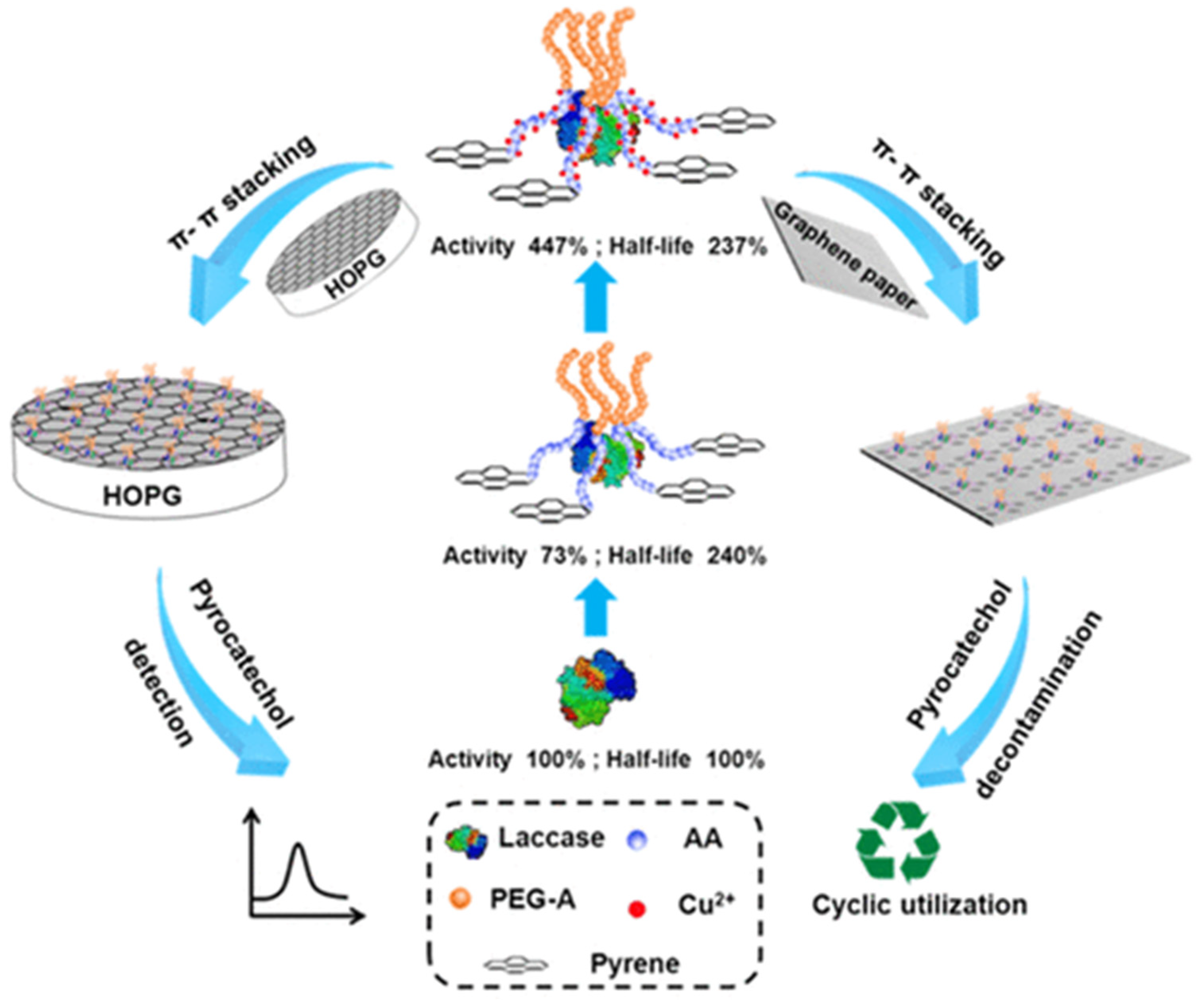 Biosensors 15 00673 g007 Biosensors 15 00673 g007