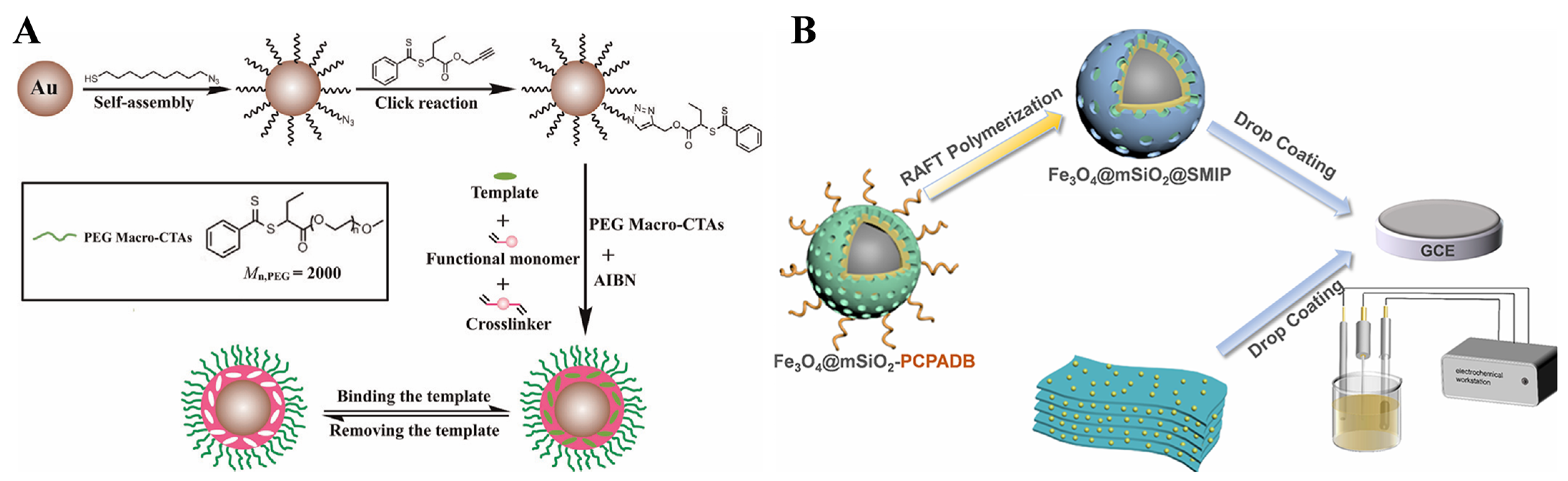 Biosensors 15 00673 g008 Biosensors 15 00673 g008