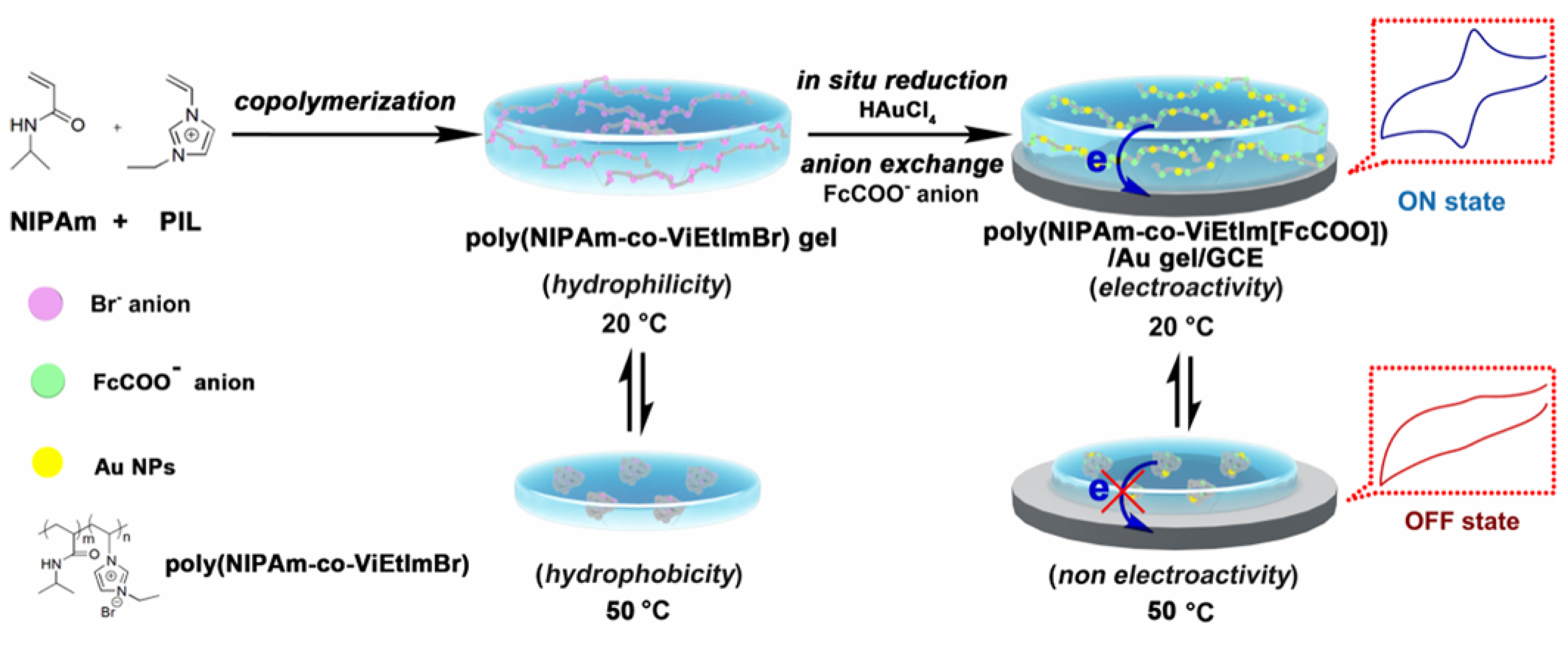 Biosensors 15 00673 g009 Biosensors 15 00673 g009