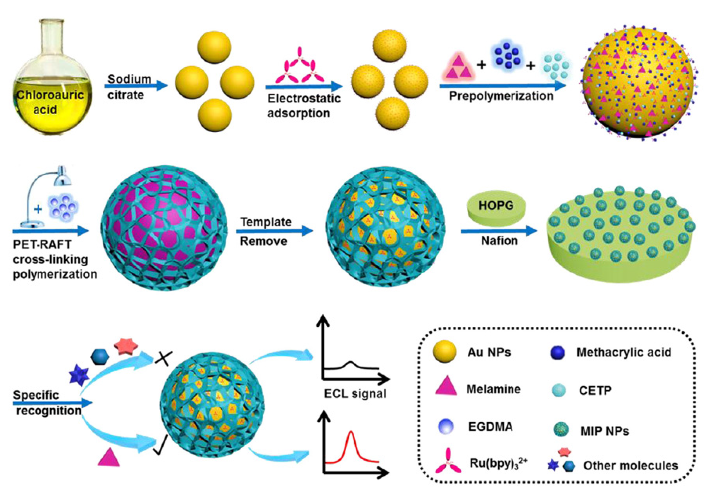 Biosensors 15 00673 g010 Biosensors 15 00673 g010