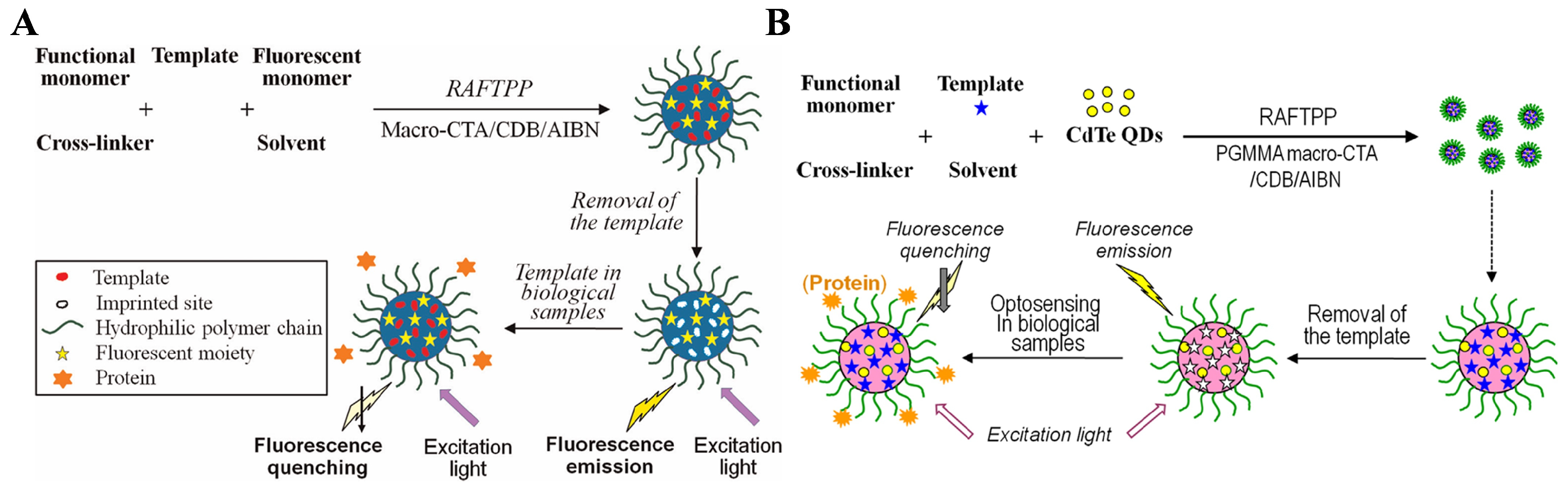 Biosensors 15 00673 g011 Biosensors 15 00673 g011