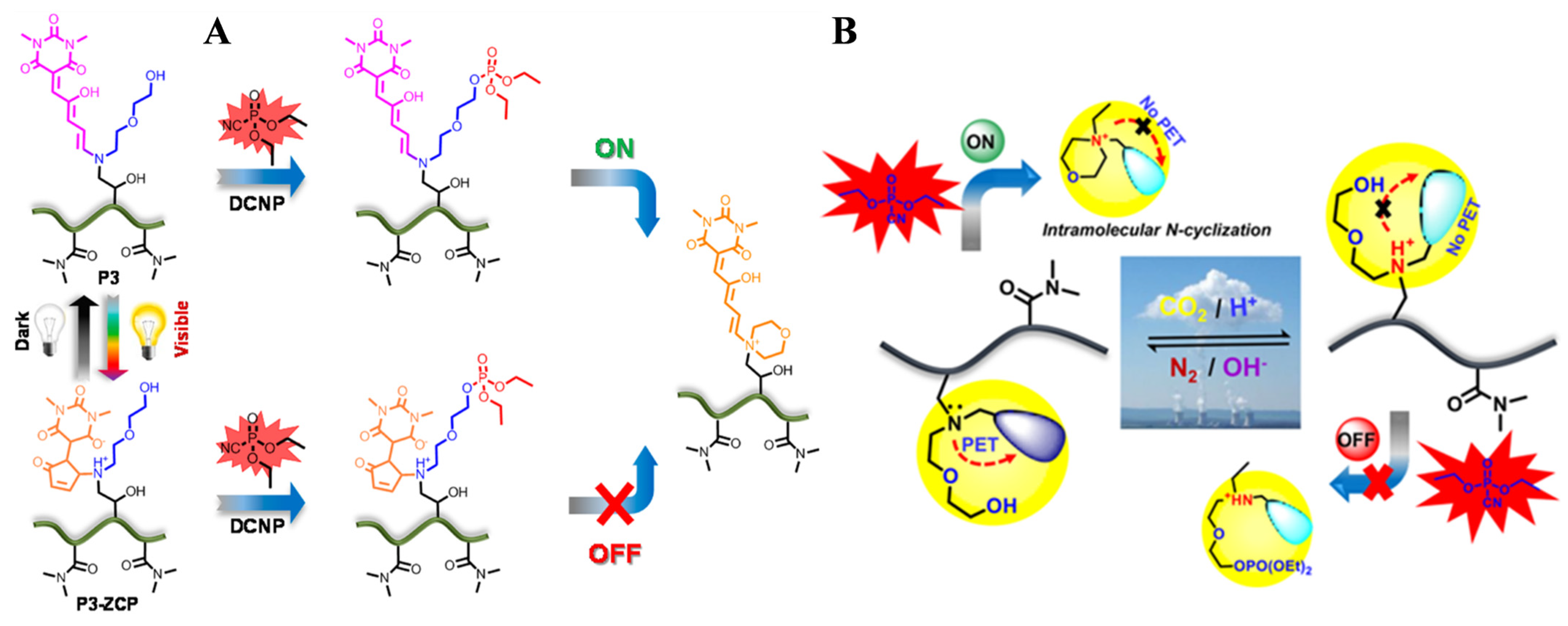 Biosensors 15 00673 g012 Biosensors 15 00673 g012