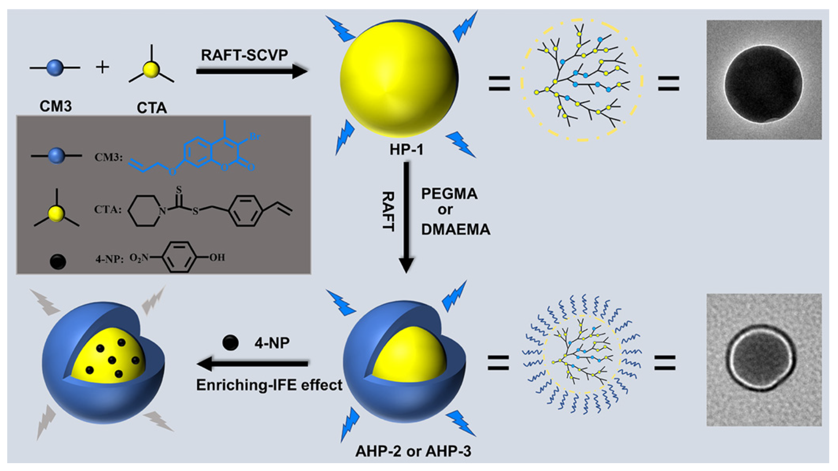 Biosensors 15 00673 g013 Biosensors 15 00673 g013