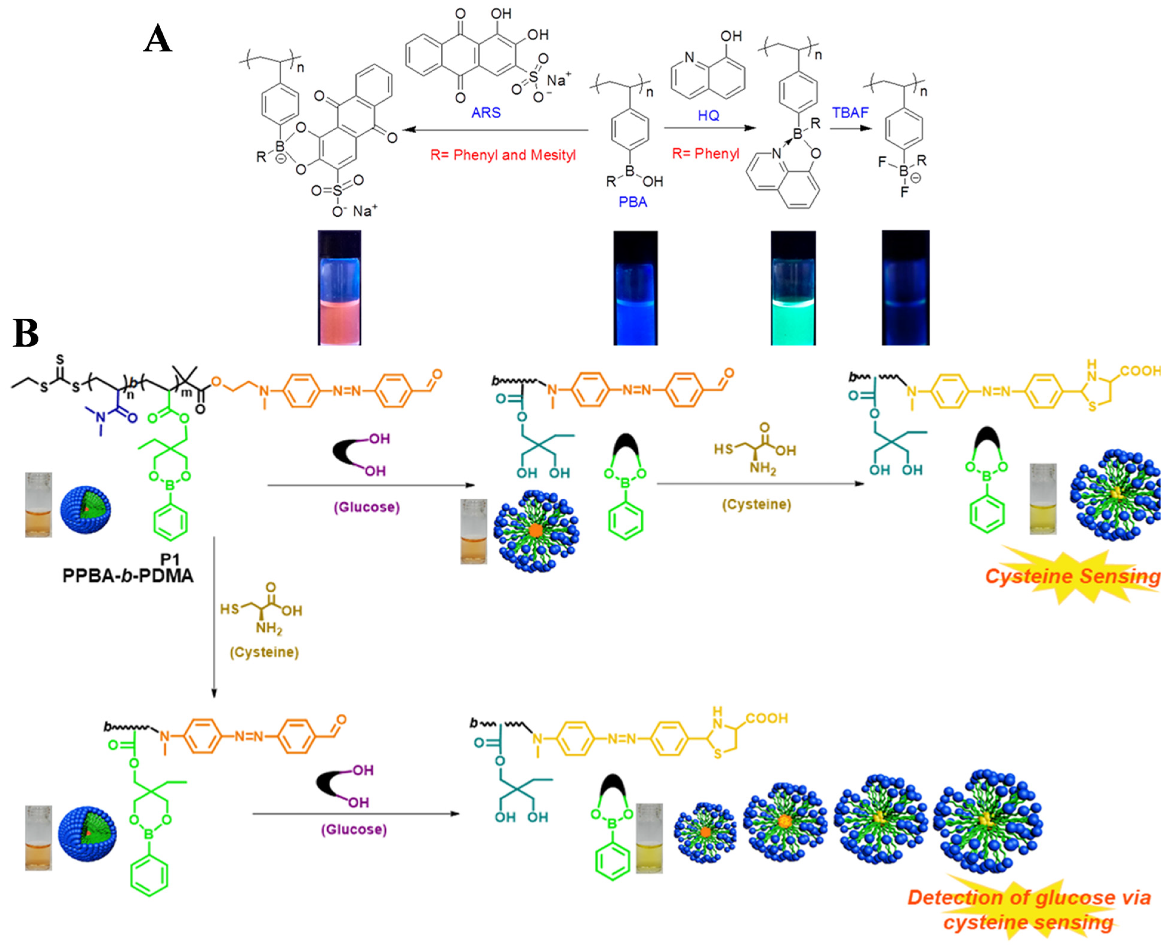 Biosensors 15 00673 g014 Biosensors 15 00673 g014