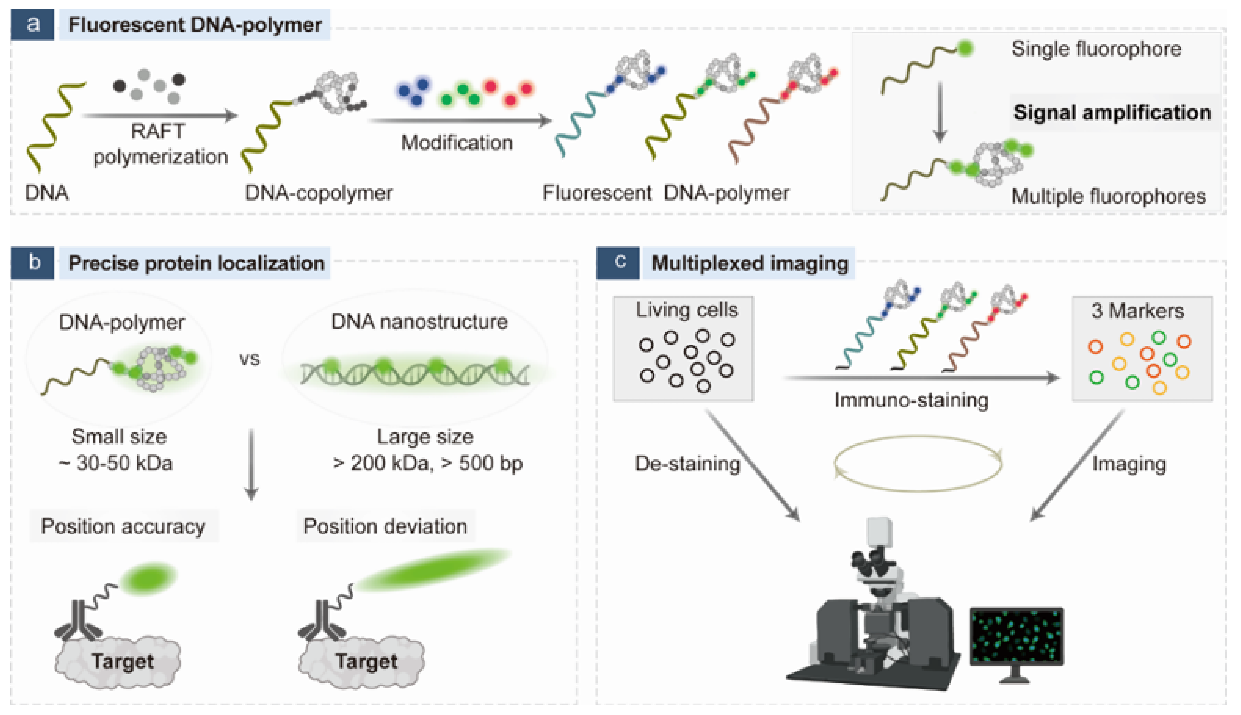 Biosensors 15 00673 g016 Biosensors 15 00673 g016