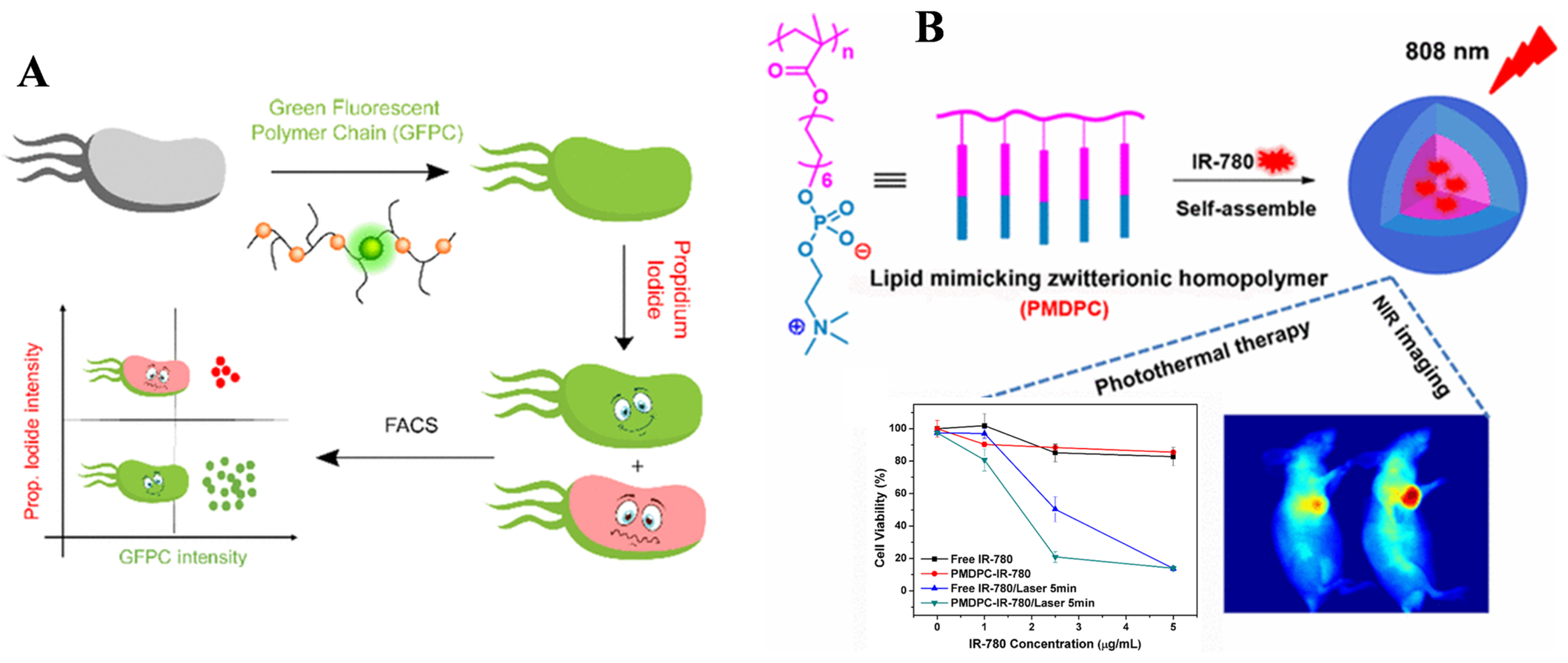 Biosensors 15 00673 g017 Biosensors 15 00673 g017