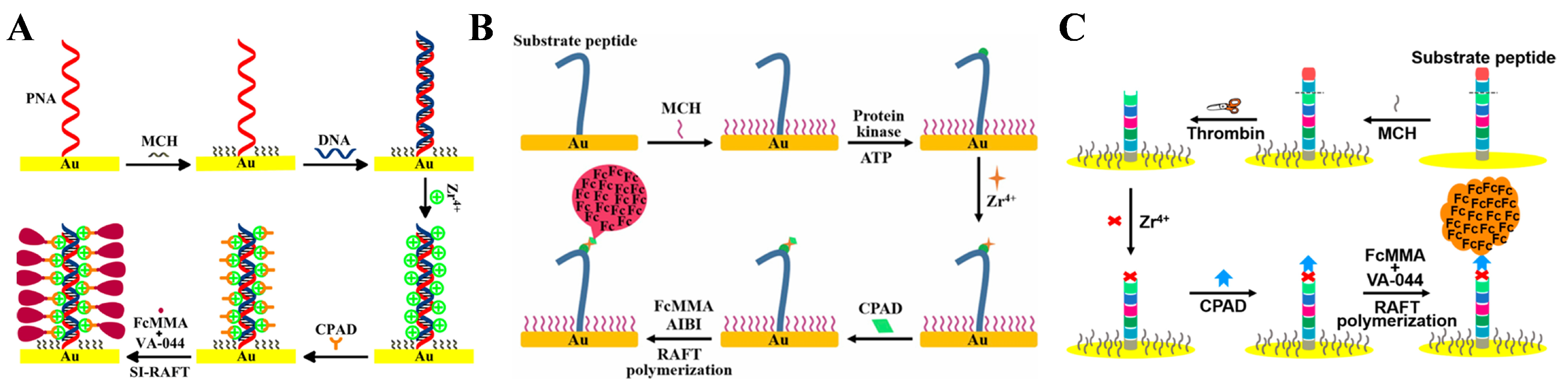 Biosensors 15 00673 g019 Biosensors 15 00673 g019