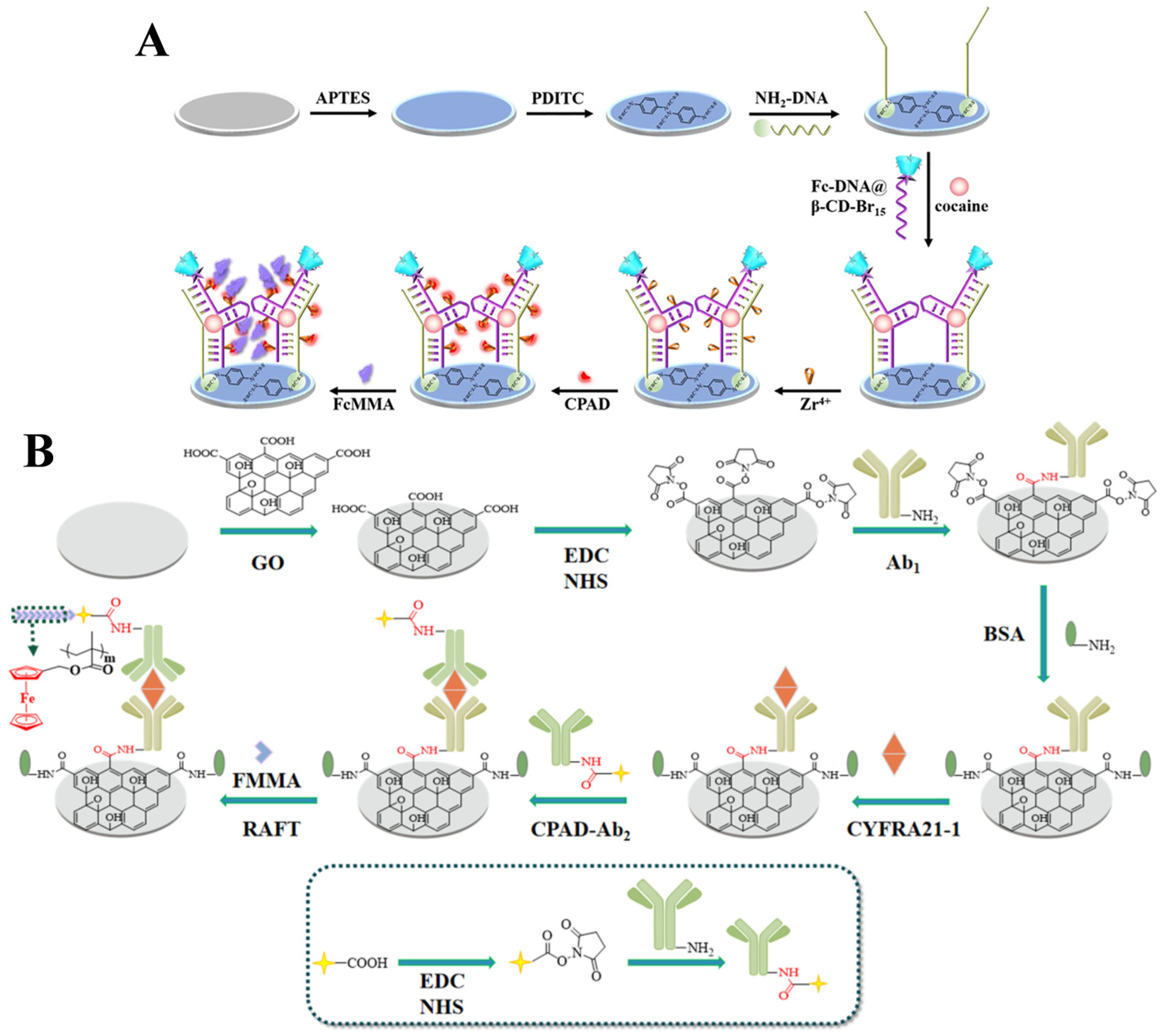 Biosensors 15 00673 g020 Biosensors 15 00673 g020