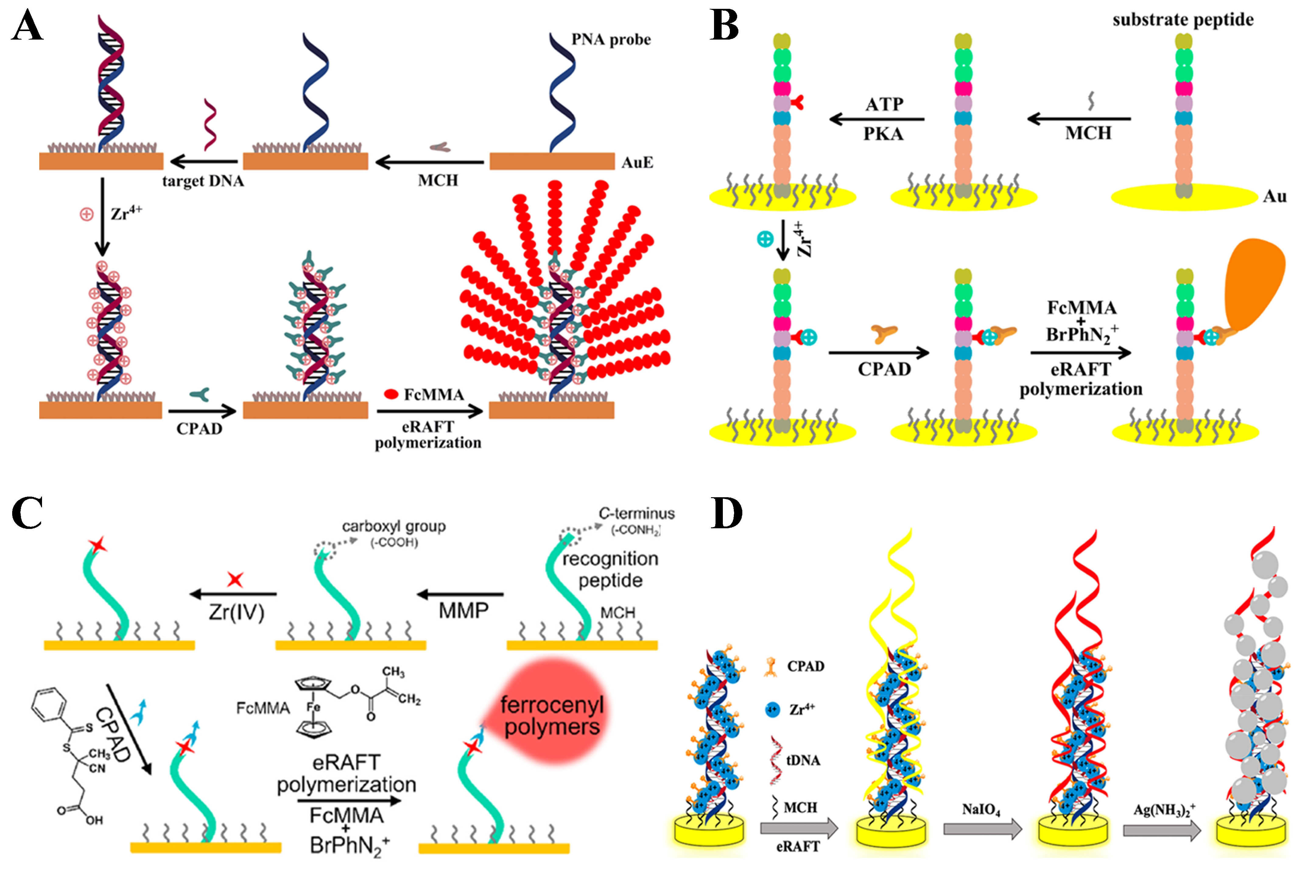 Biosensors 15 00673 g021 Biosensors 15 00673 g021