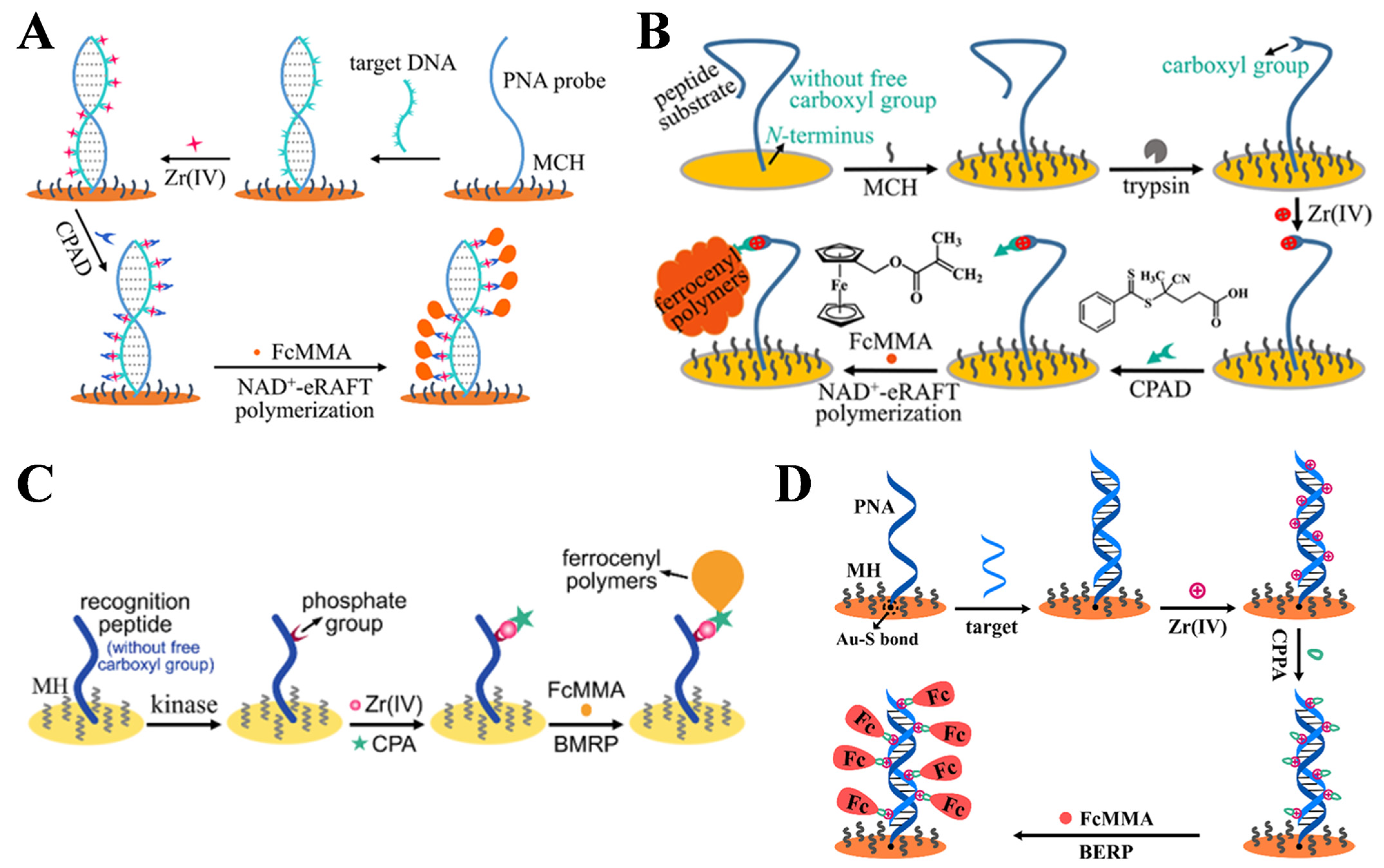 Biosensors 15 00673 g022 Biosensors 15 00673 g022