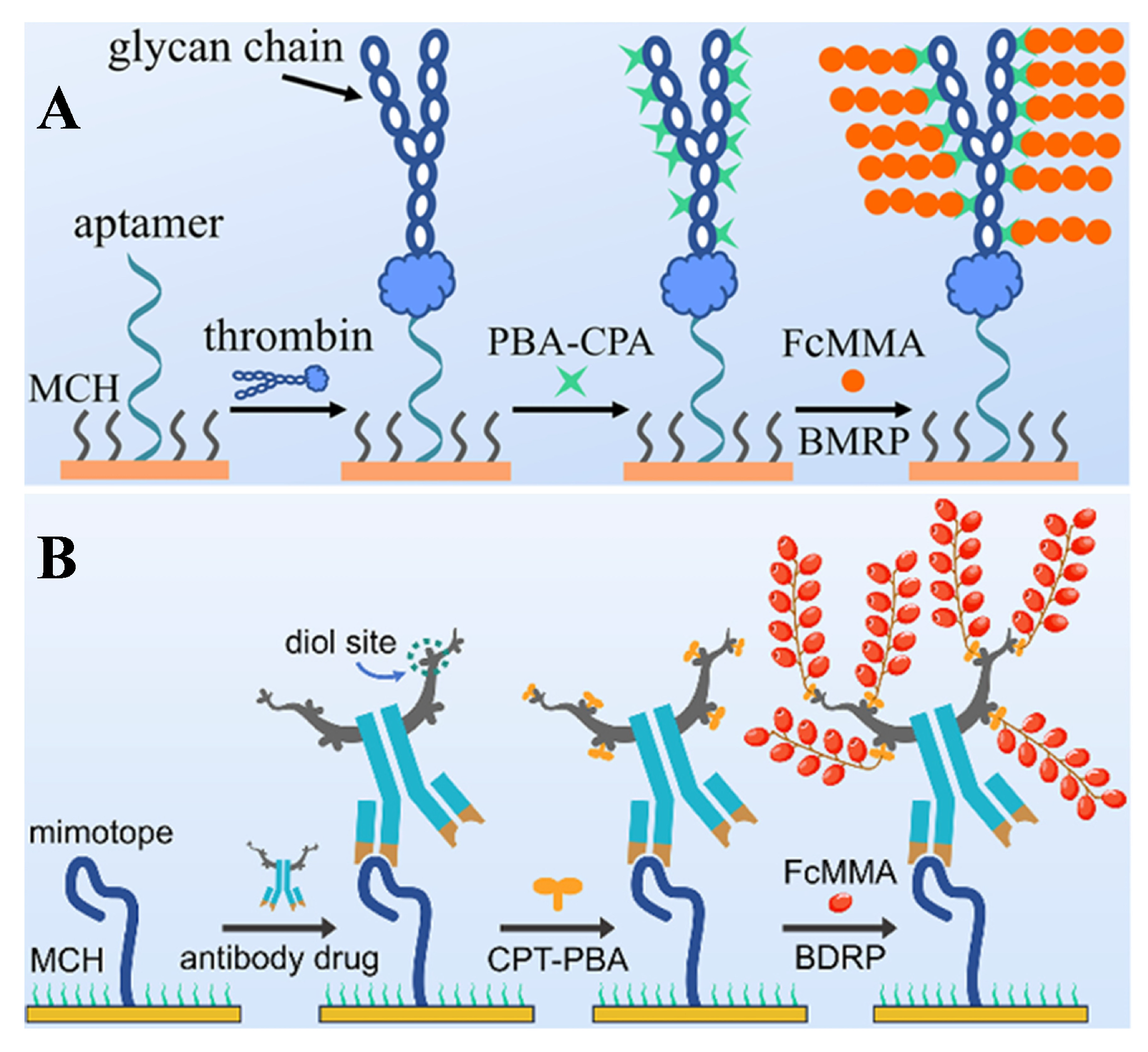 Biosensors 15 00673 g023 Biosensors 15 00673 g023