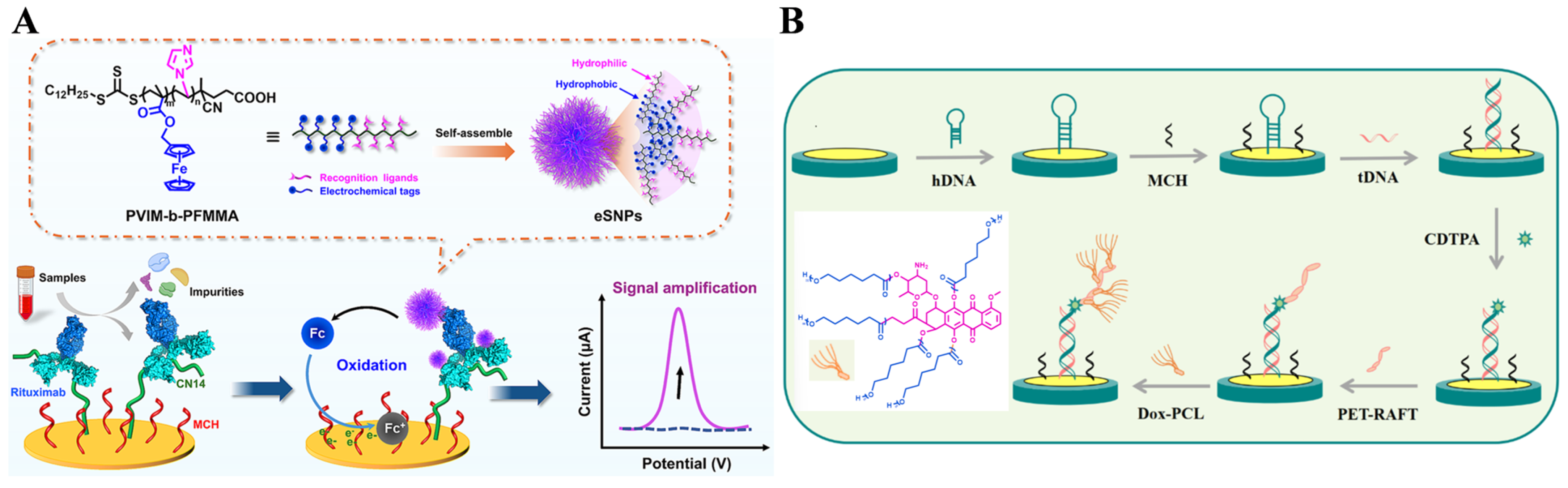Biosensors 15 00673 g025 Biosensors 15 00673 g025