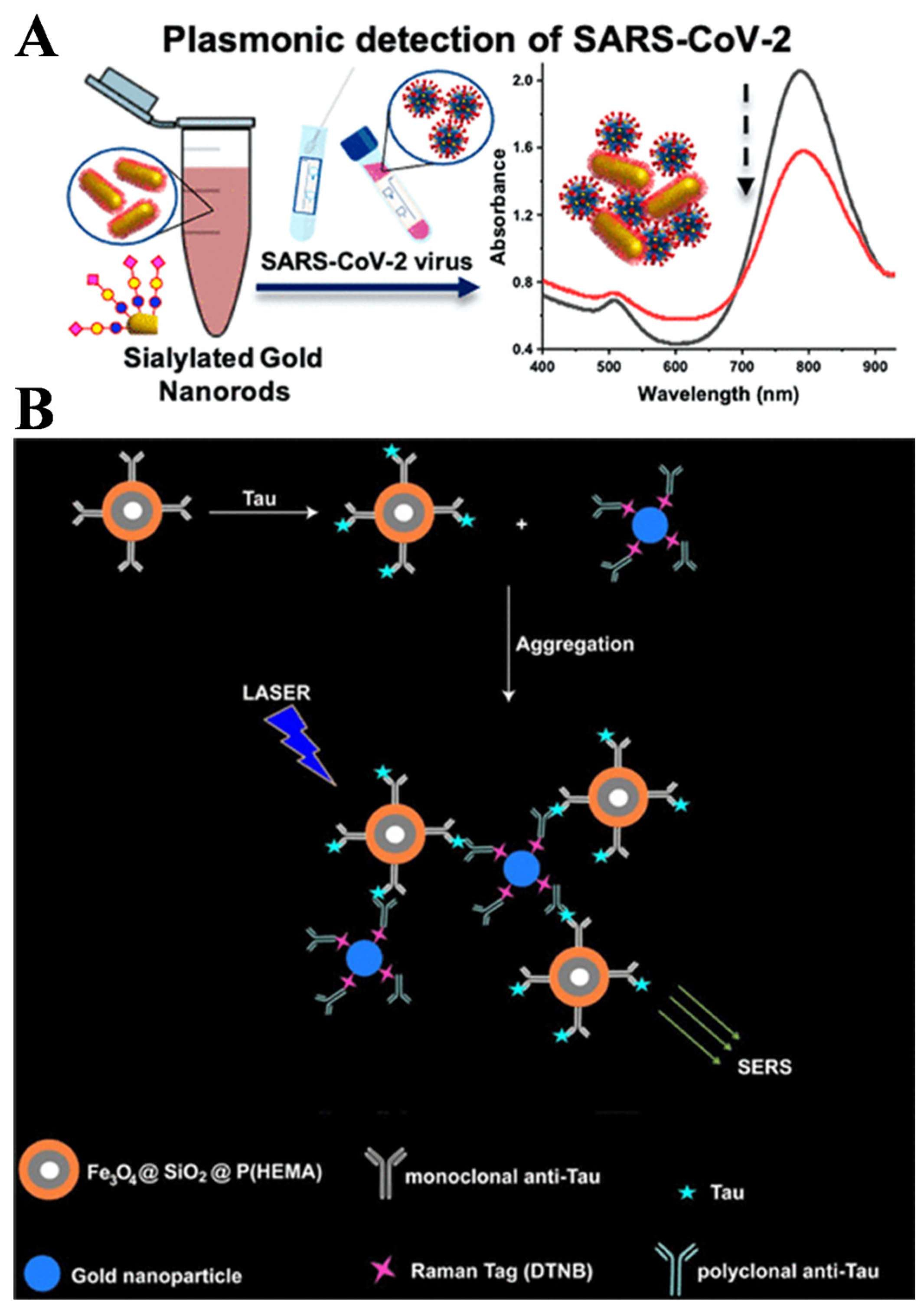Biosensors 15 00673 g026 Biosensors 15 00673 g026