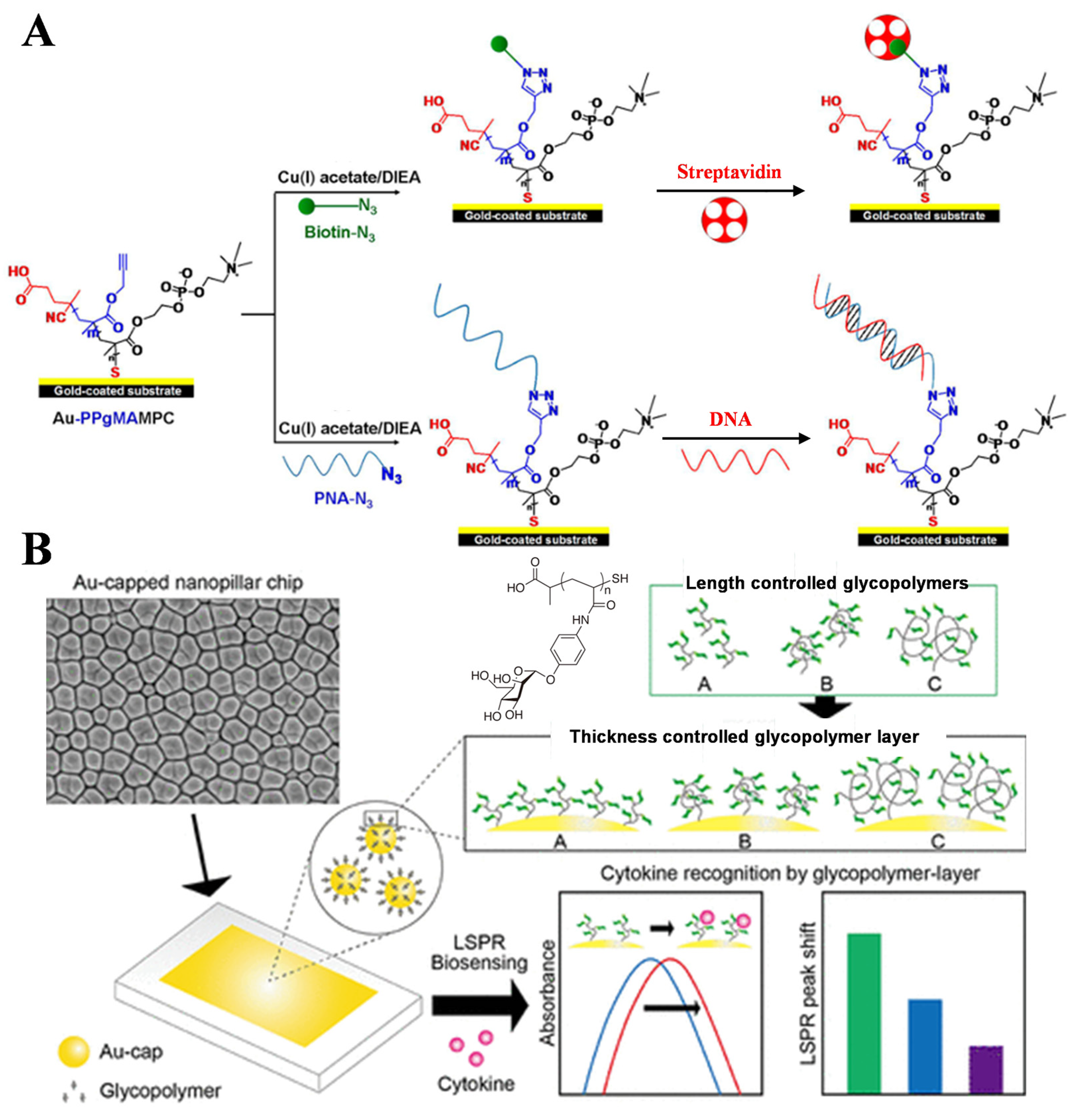 Biosensors 15 00673 g027 Biosensors 15 00673 g027