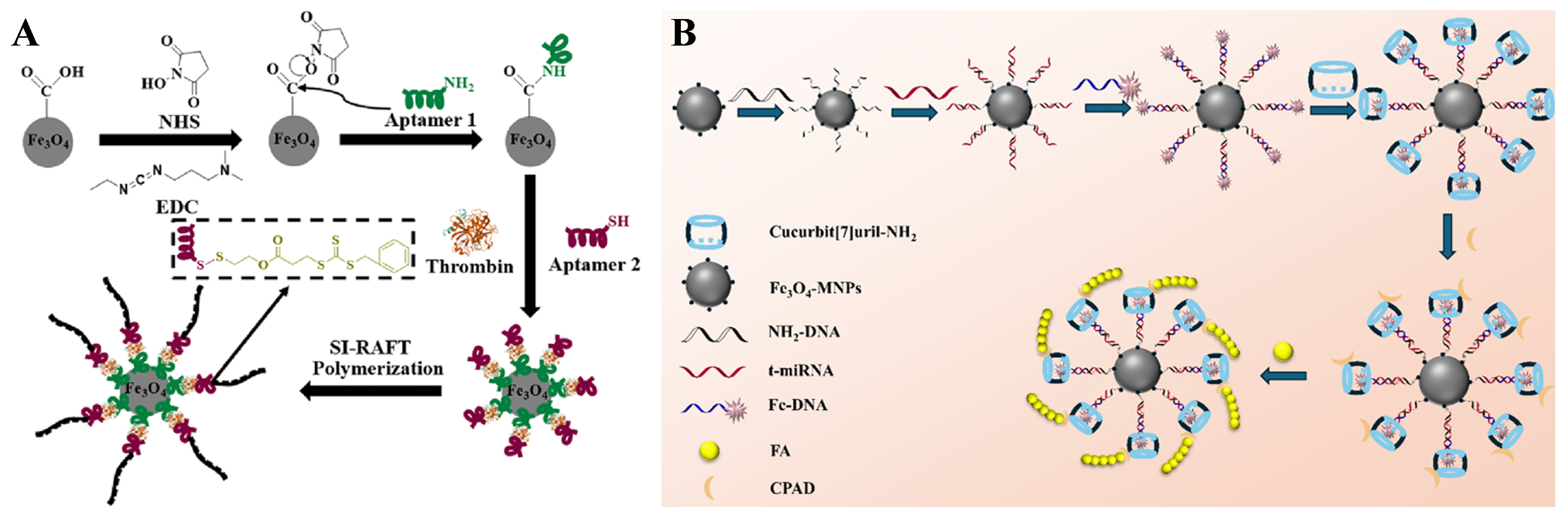 Biosensors 15 00673 g028 Biosensors 15 00673 g028