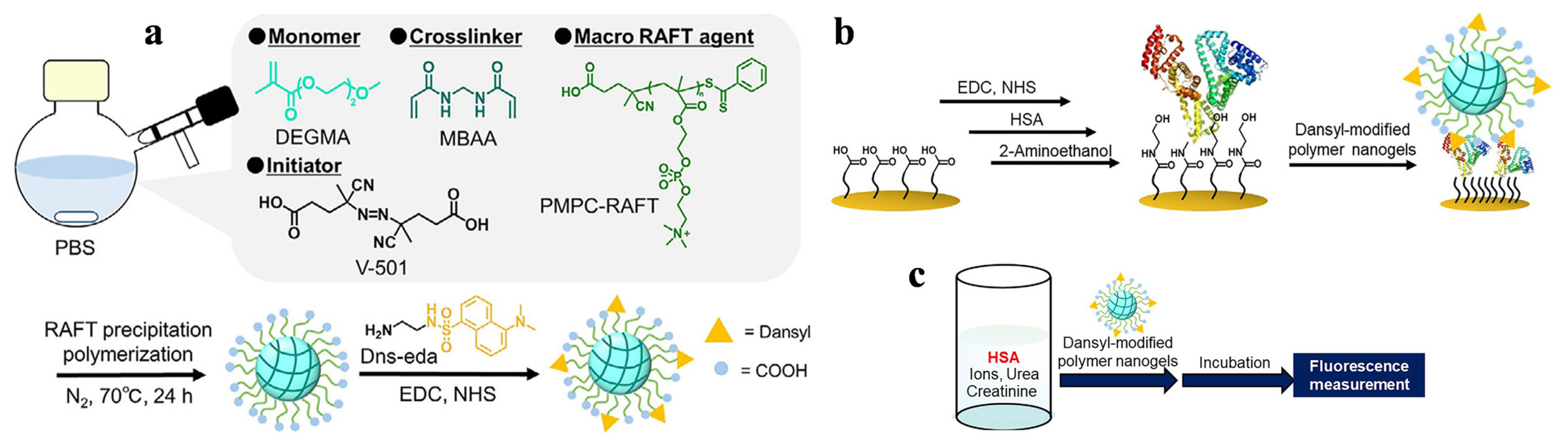 Biosensors 15 00673 g029 Biosensors 15 00673 g029
