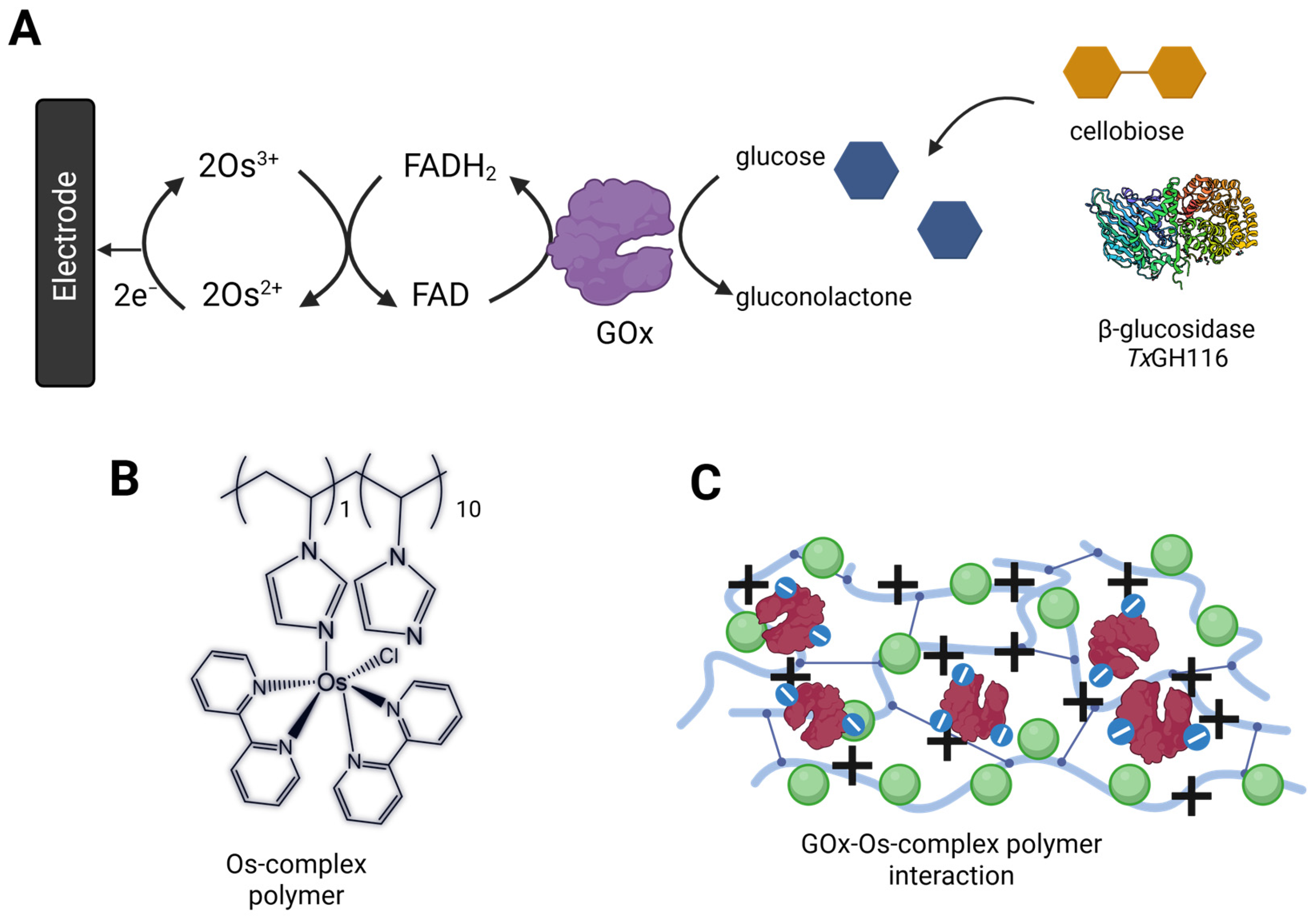 Biosensors 15 00674 g001