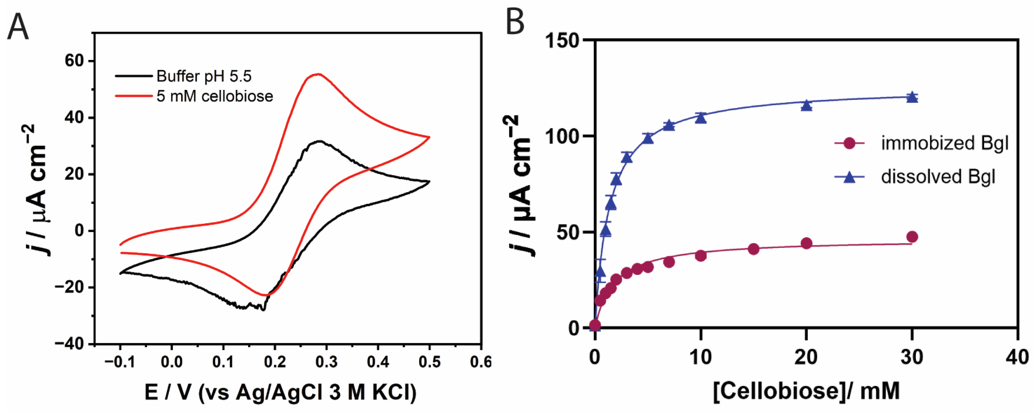 Biosensors 15 00674 g005